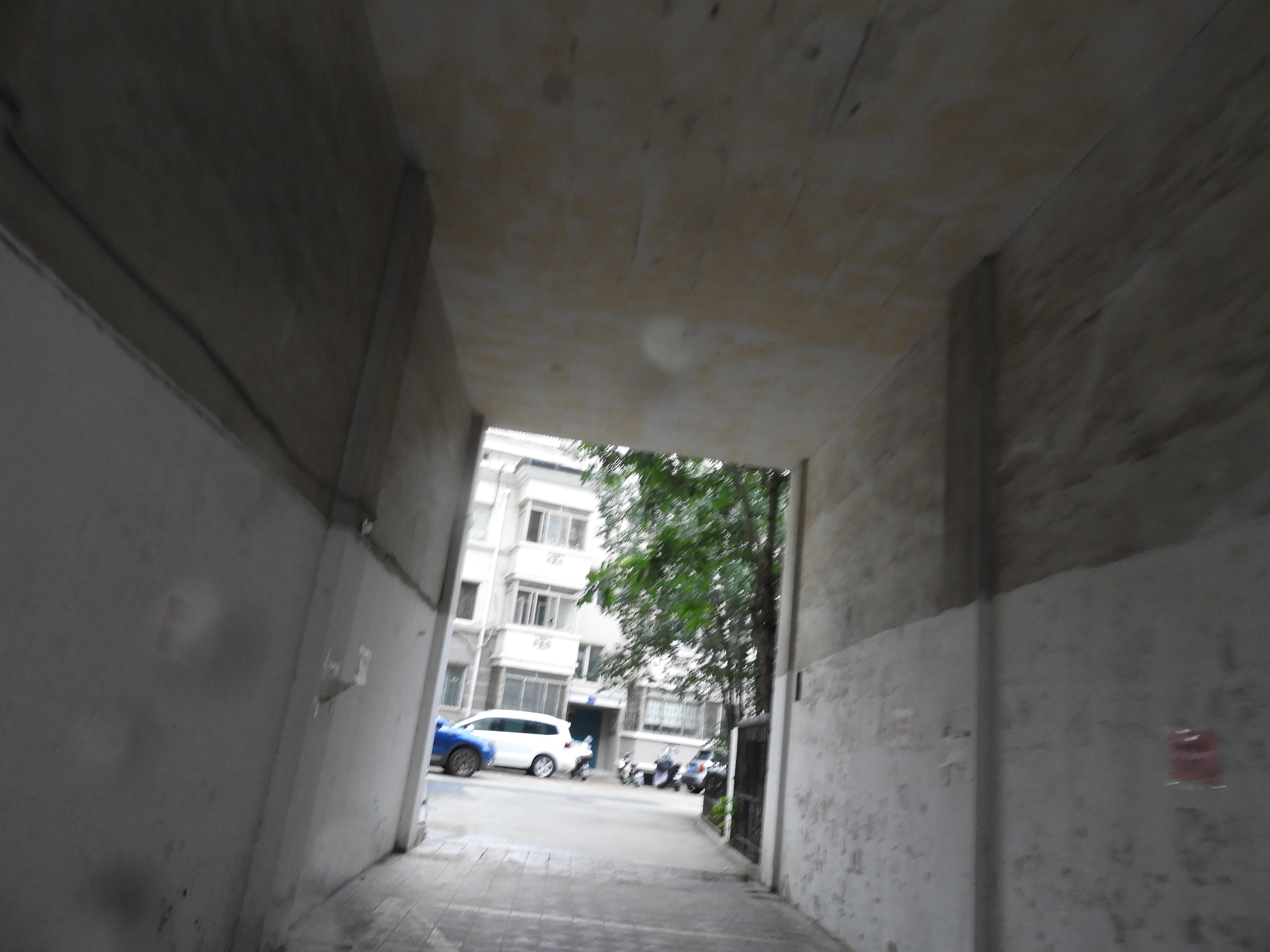 DSCN0449.JPG