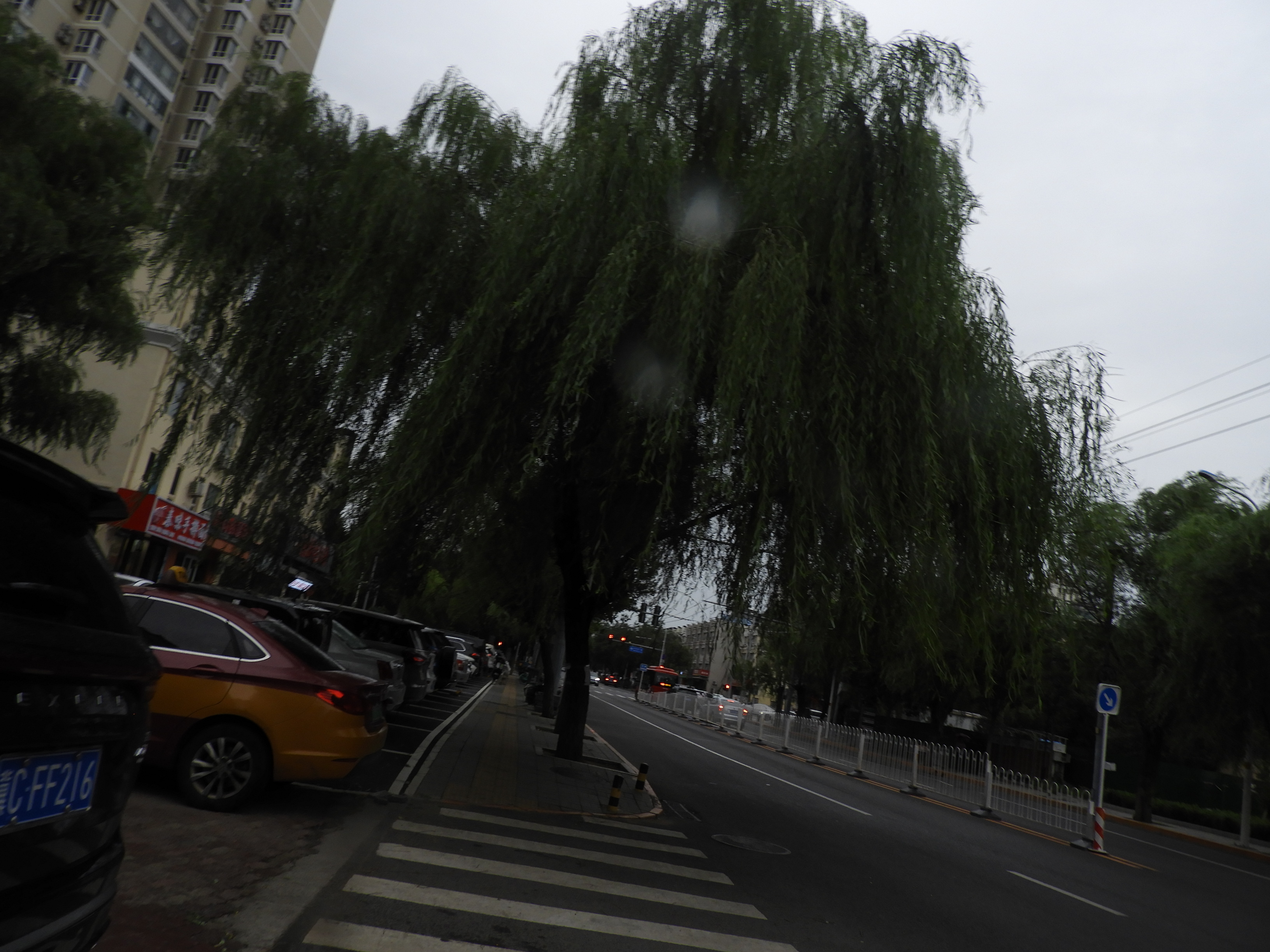 DSCN0445.JPG