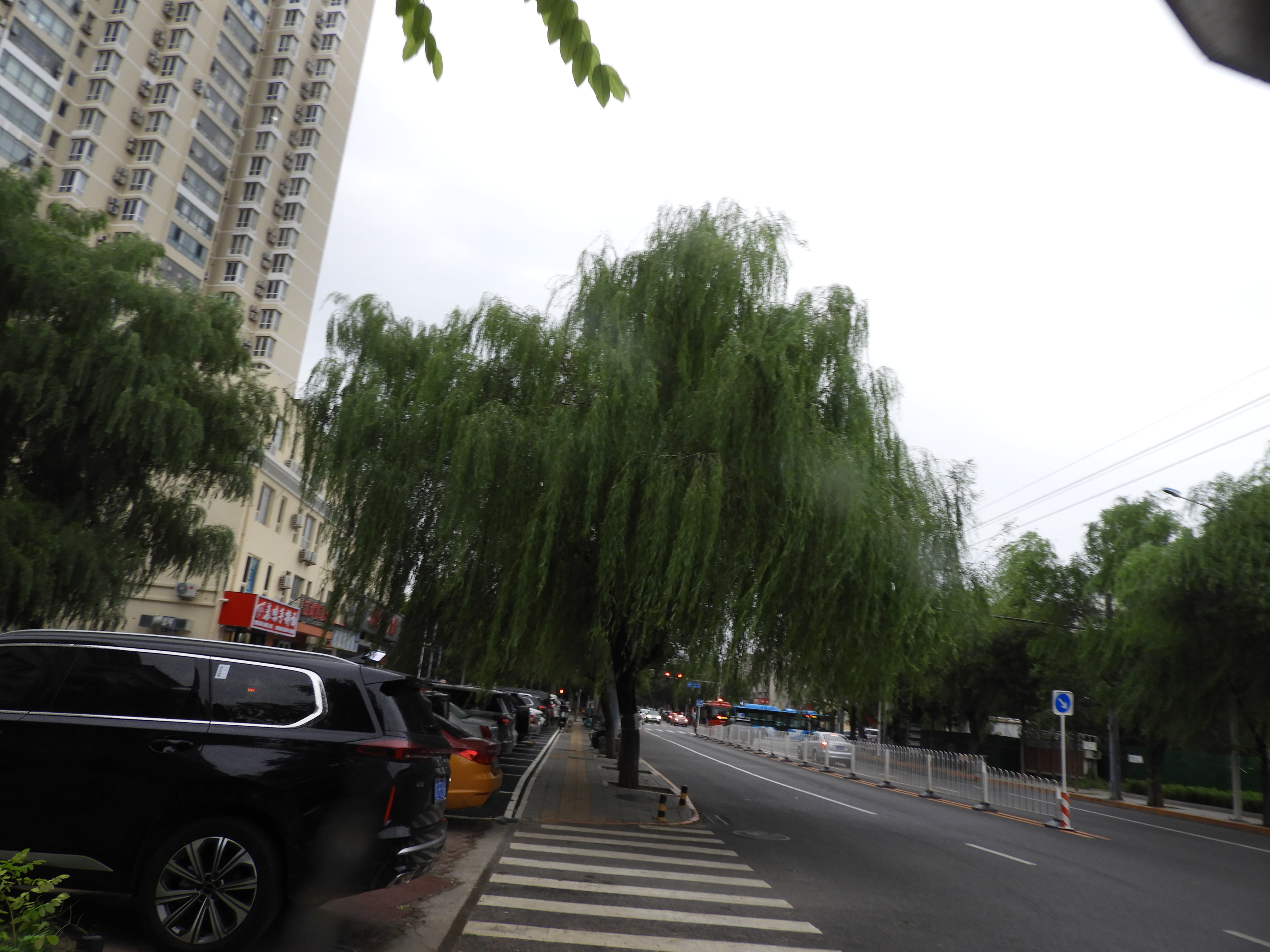 DSCN0443.JPG