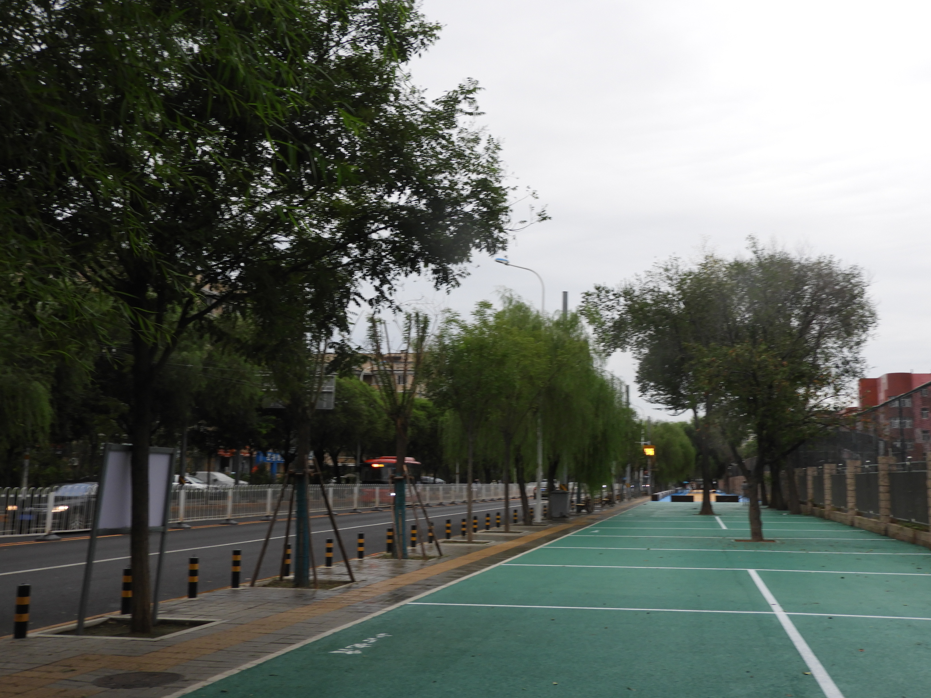 DSCN0440.JPG