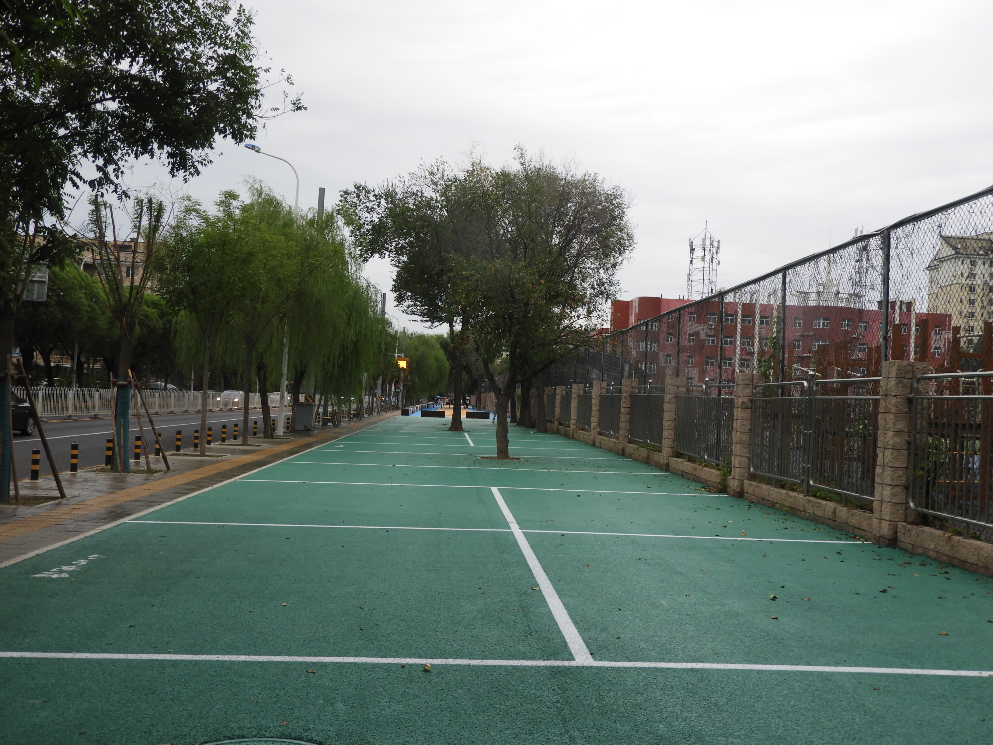 DSCN0437.JPG