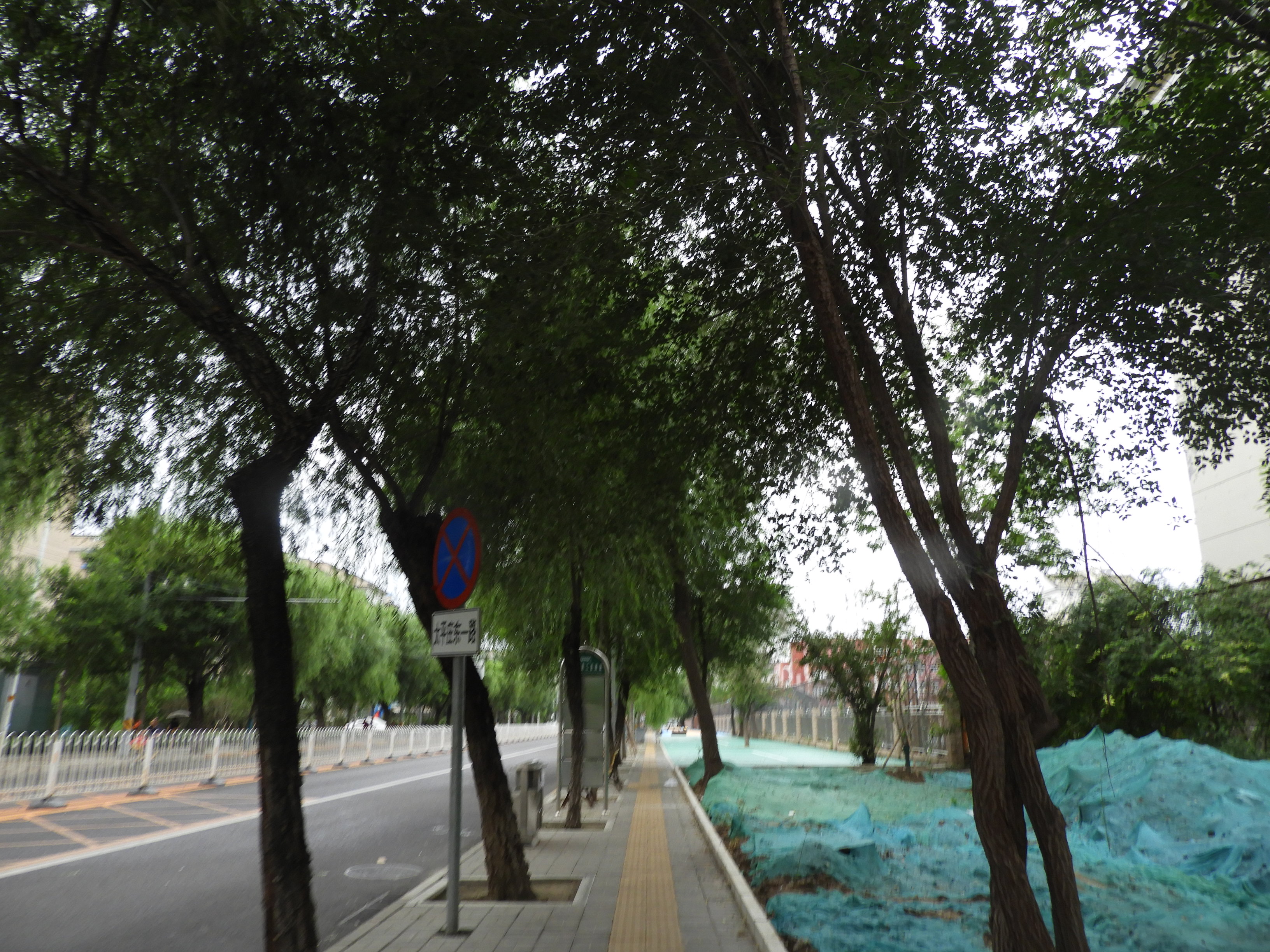 DSCN0435.JPG