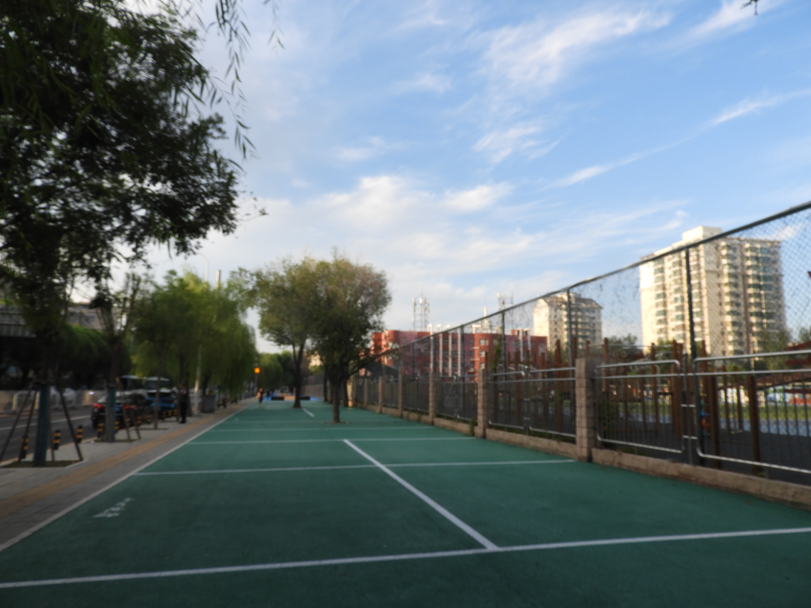 DSCN0485.JPG