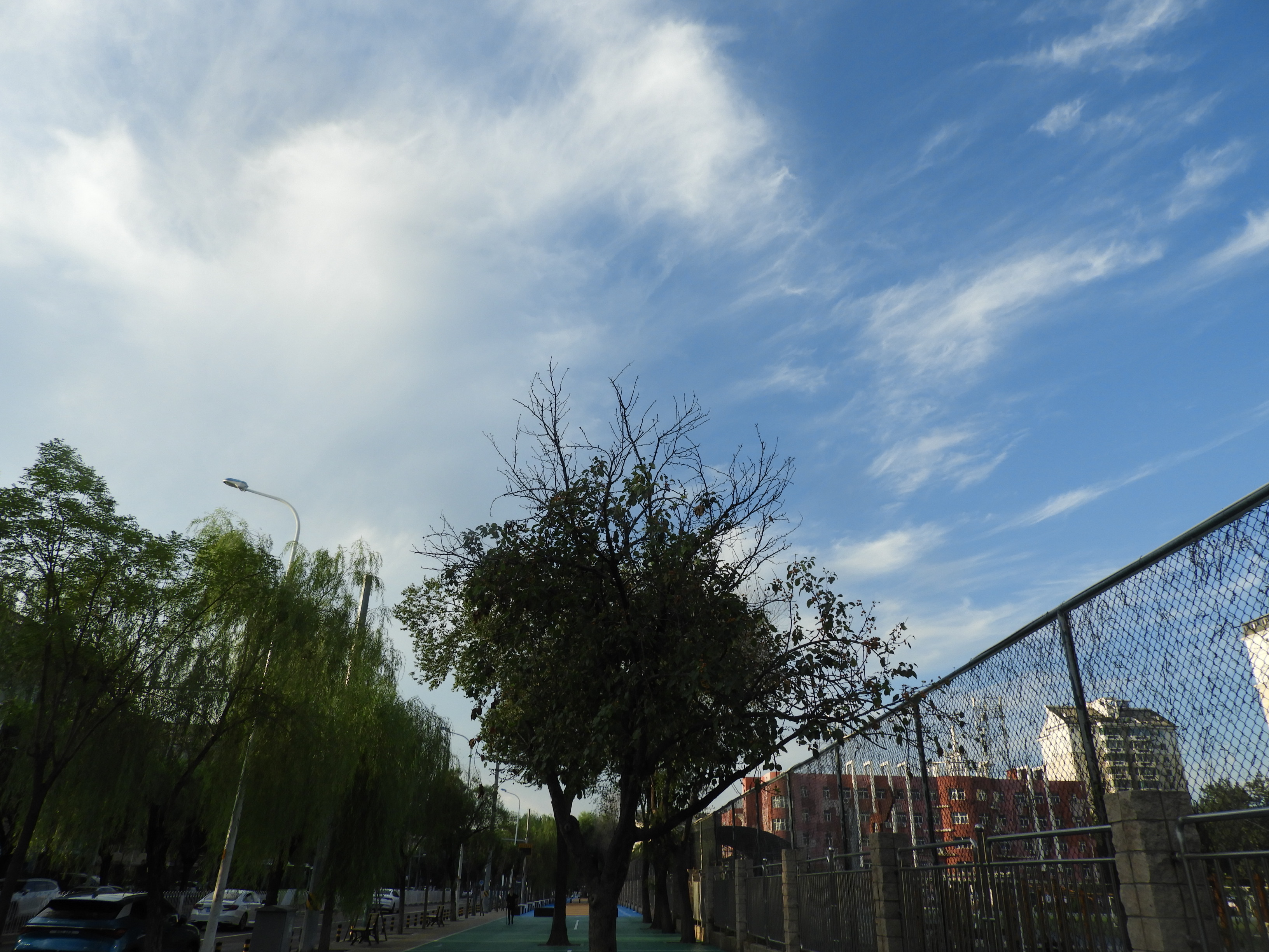 DSCN0487.JPG