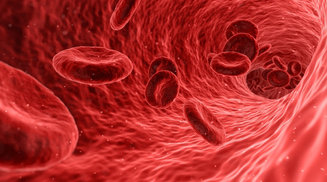 ΢ͼƬ_20250826170459.png