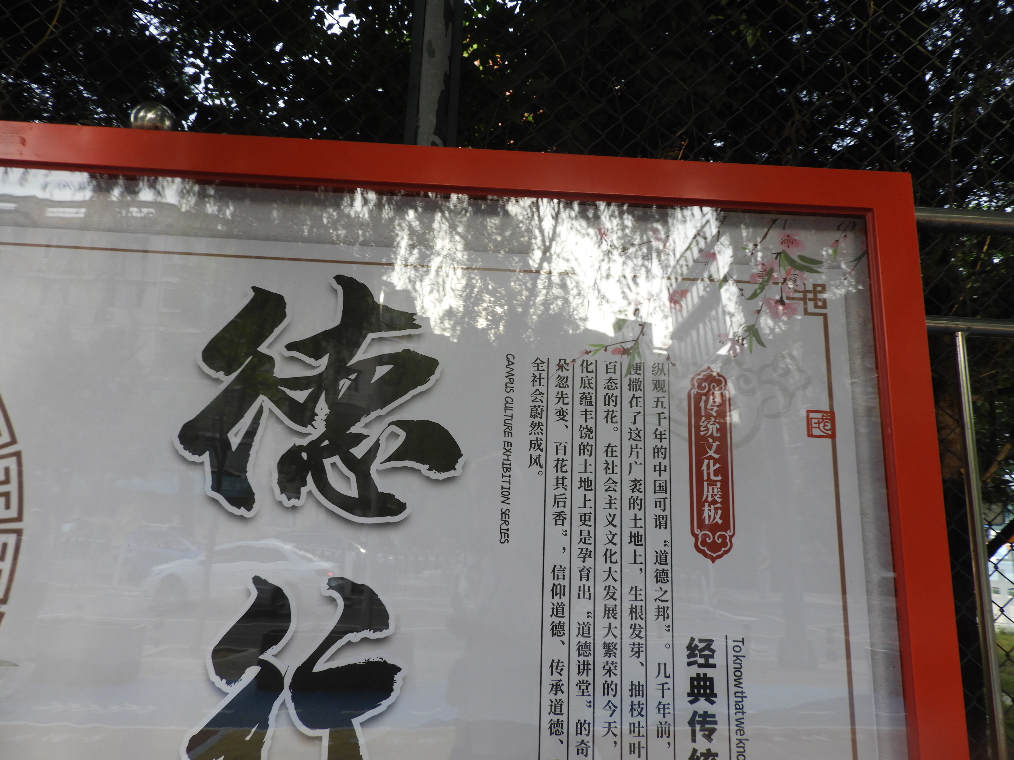 DSCN0565.JPG