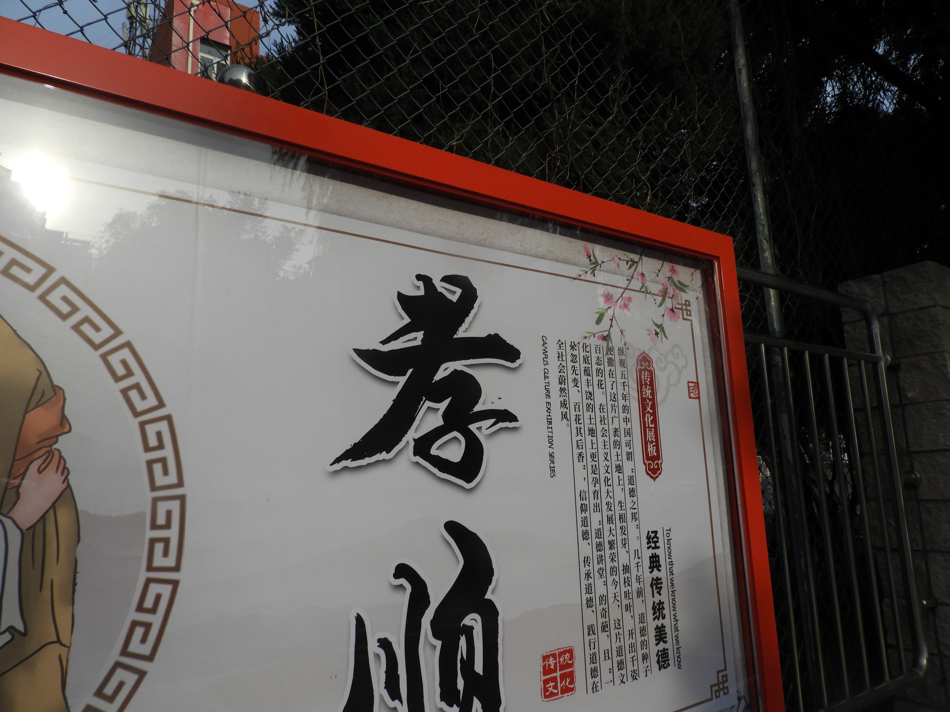 DSCN0566.JPG