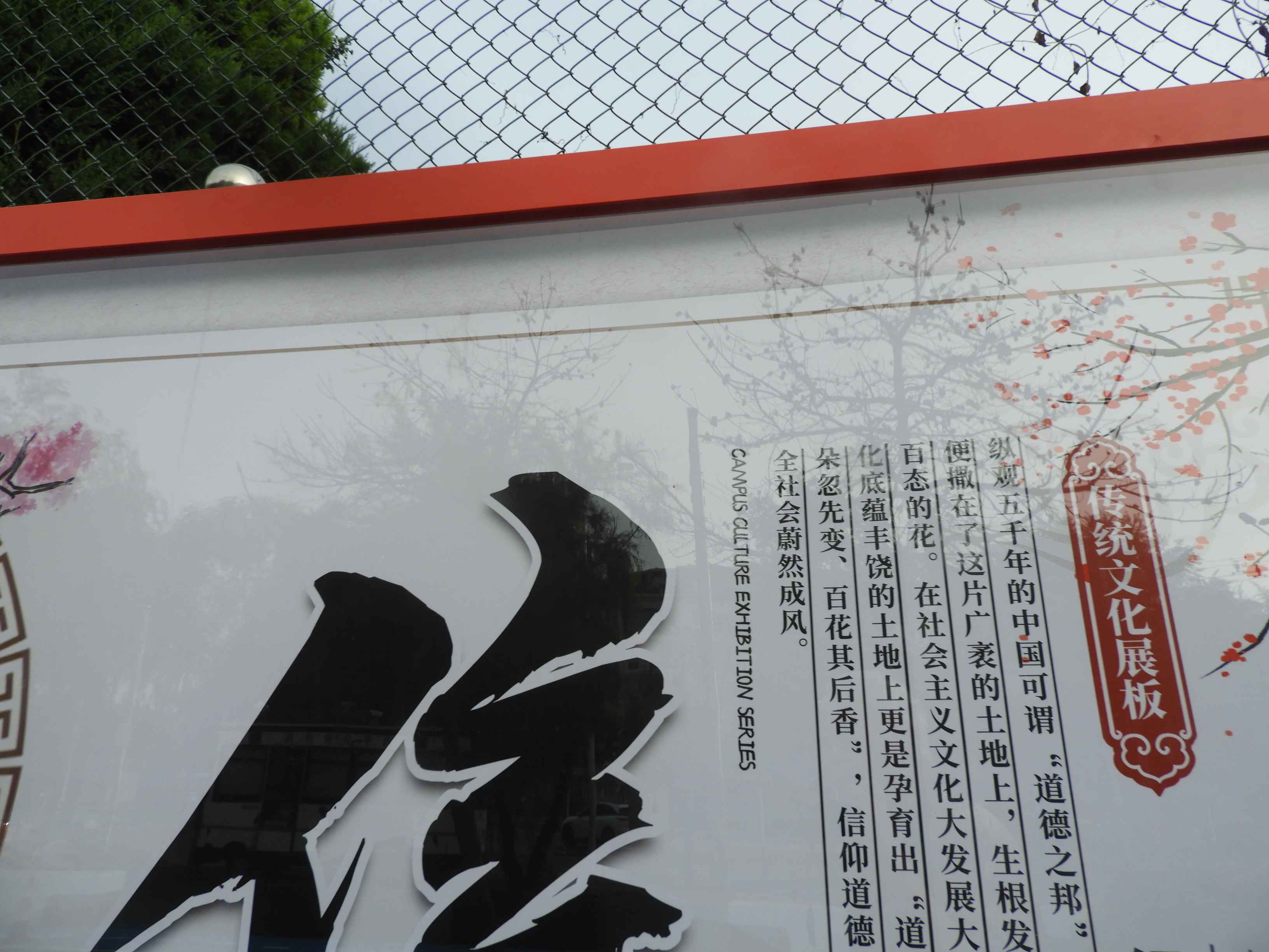 DSCN0574.JPG
