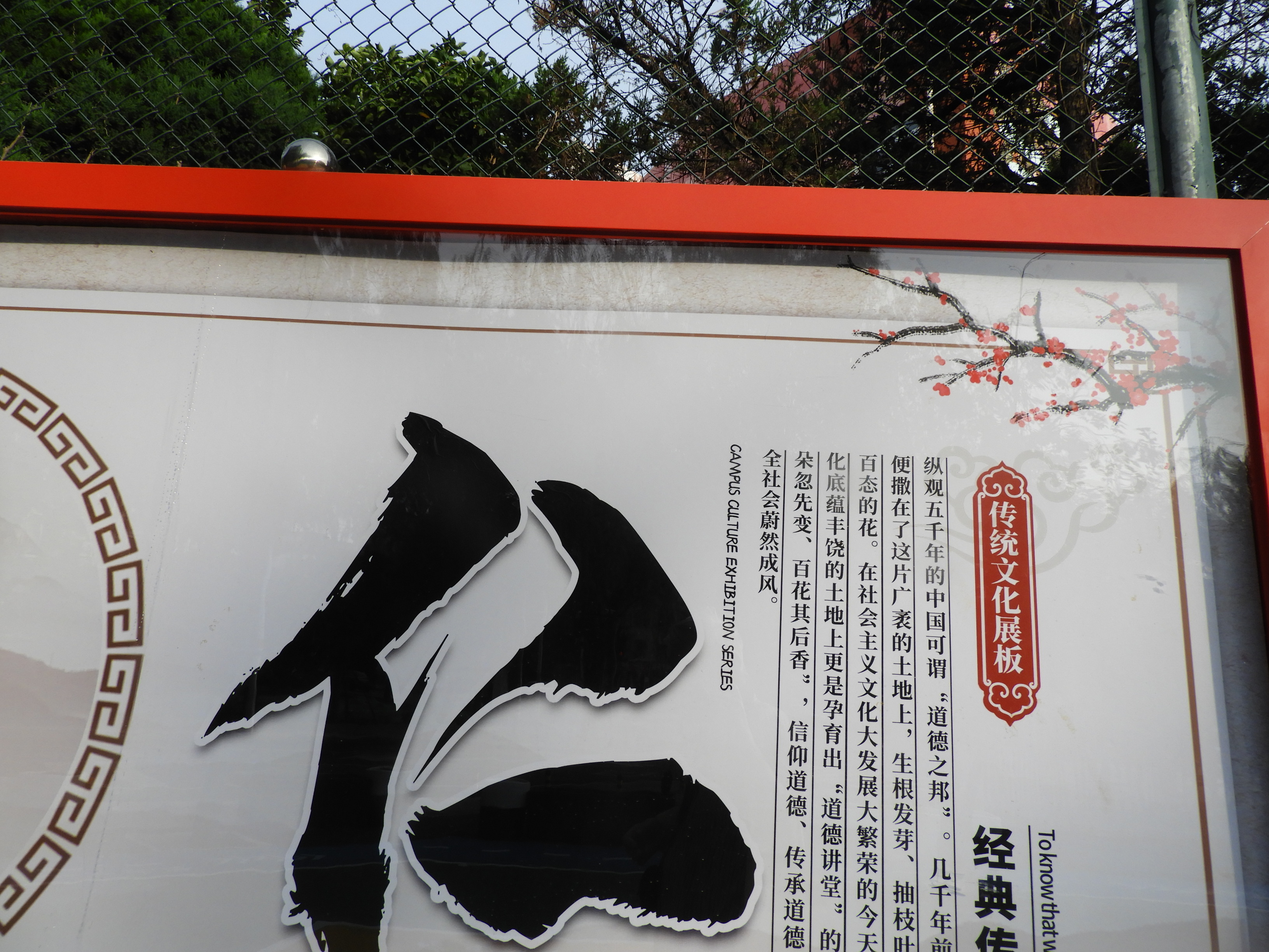 DSCN0578.JPG