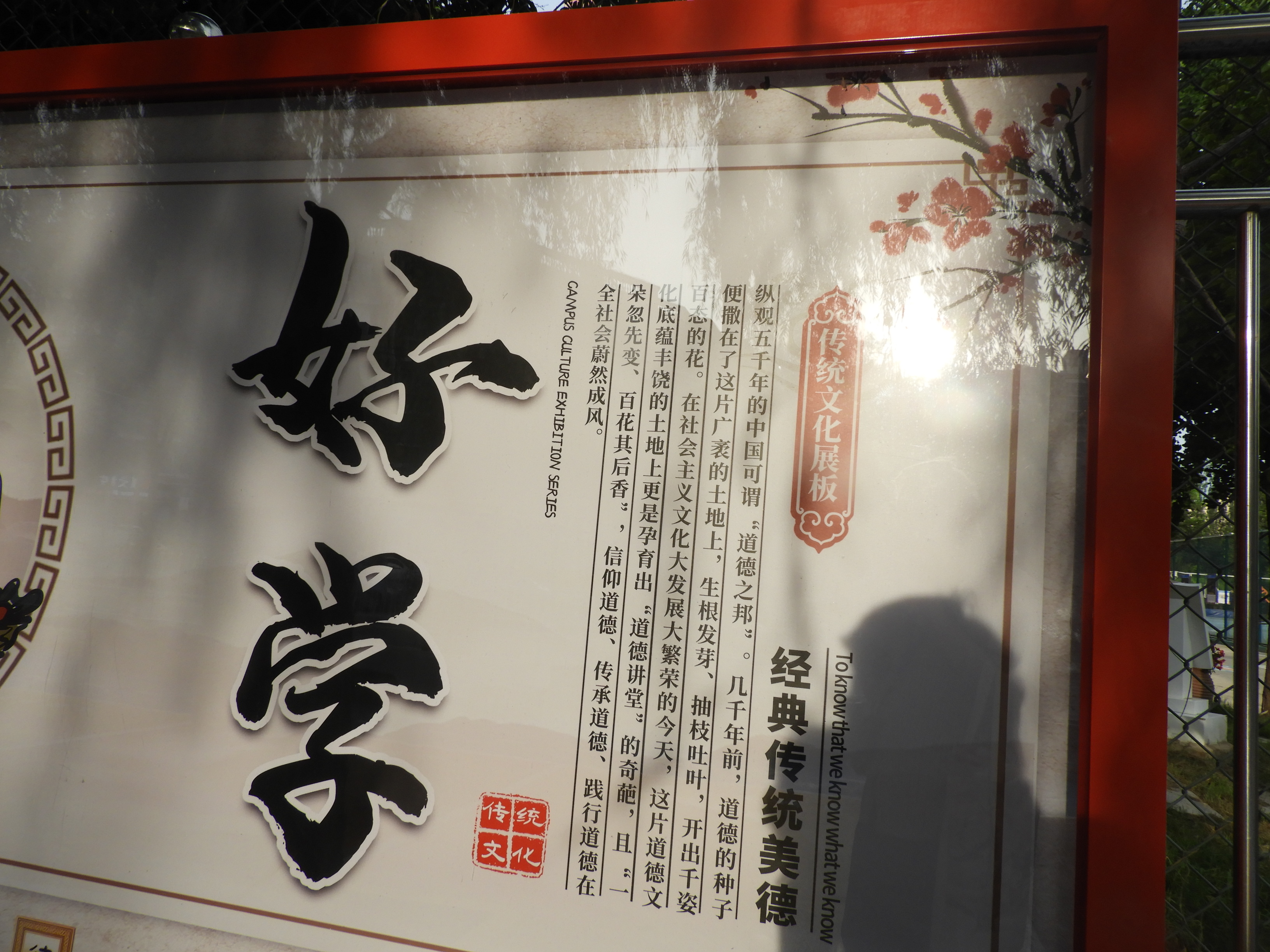 DSCN0564.JPG