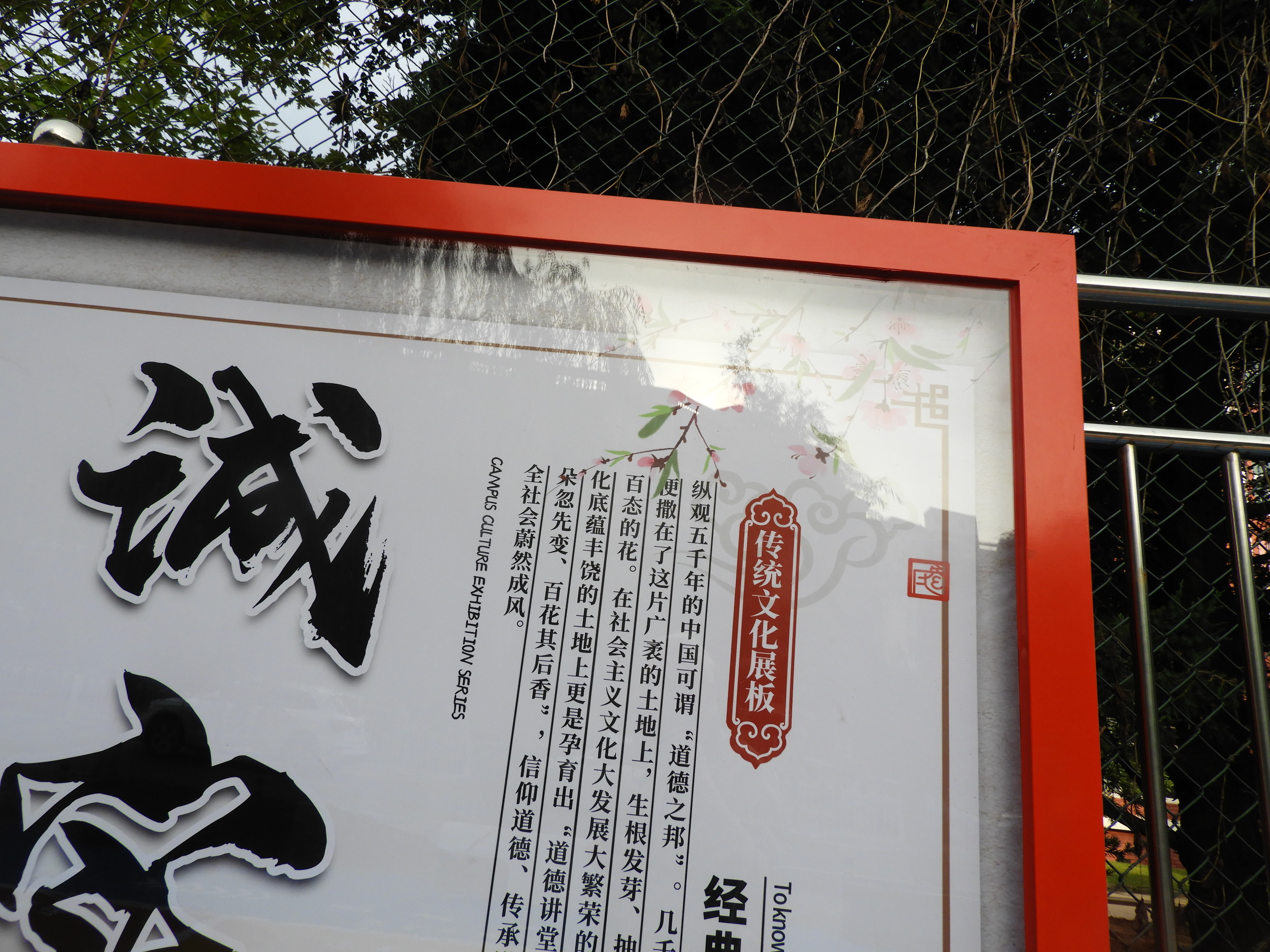 DSCN0569 - .JPG