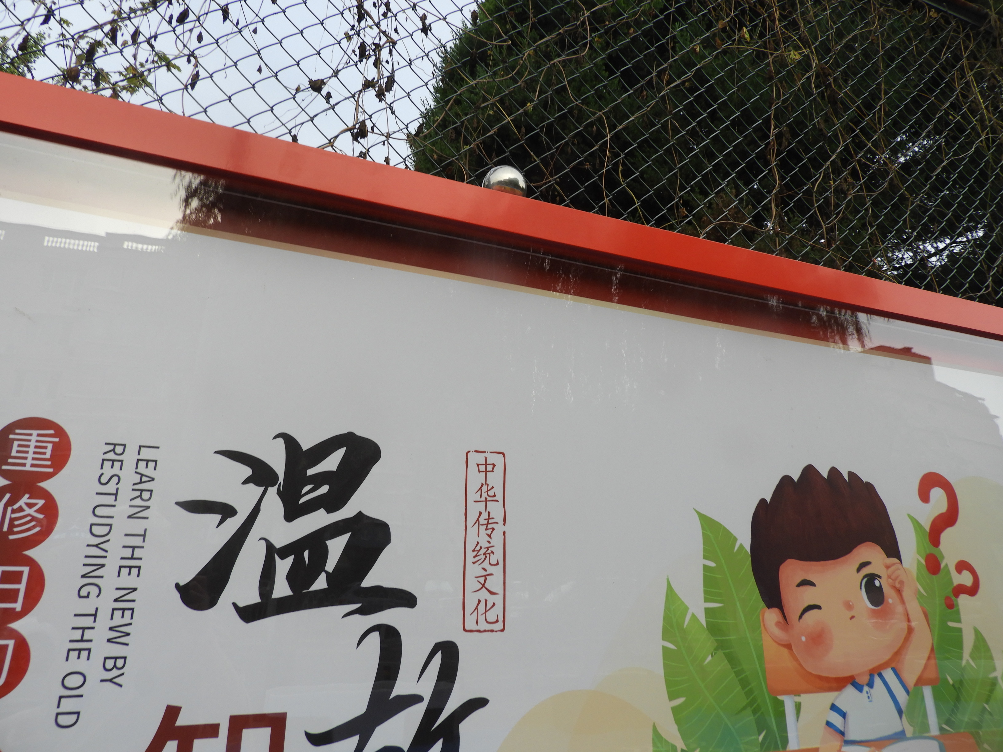 DSCN0571.JPG