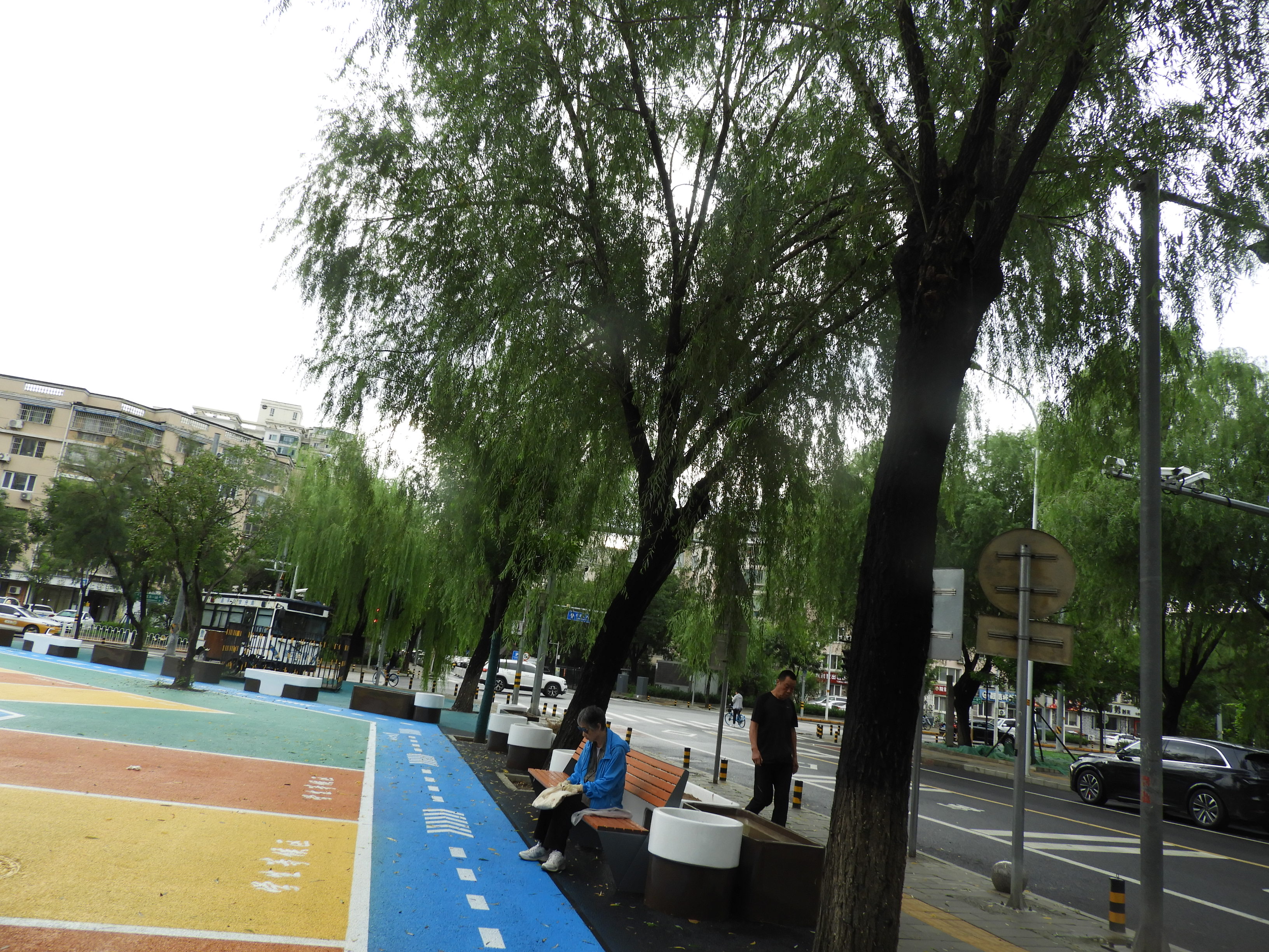 DSCN0669.JPG