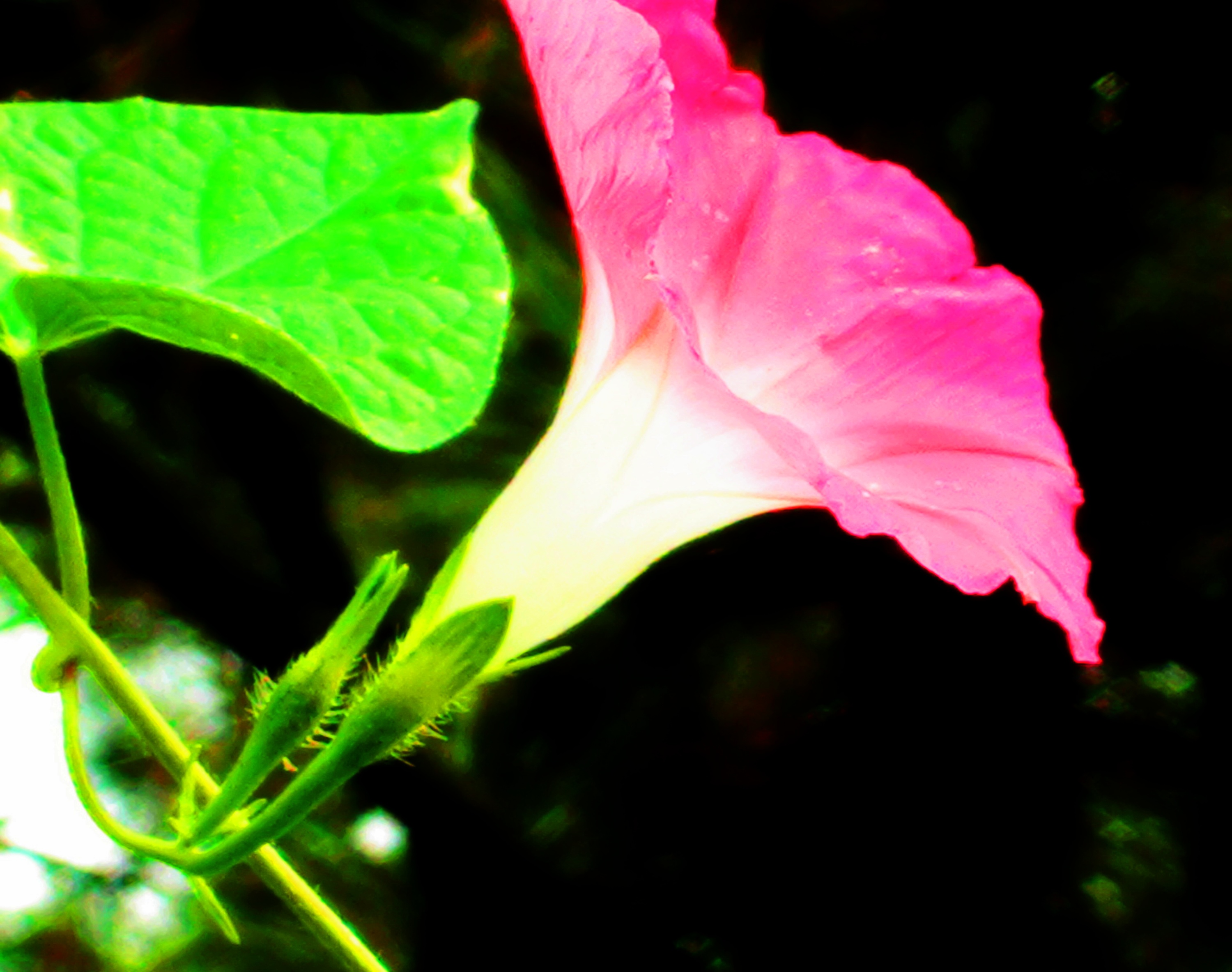 DSC05016.JPG