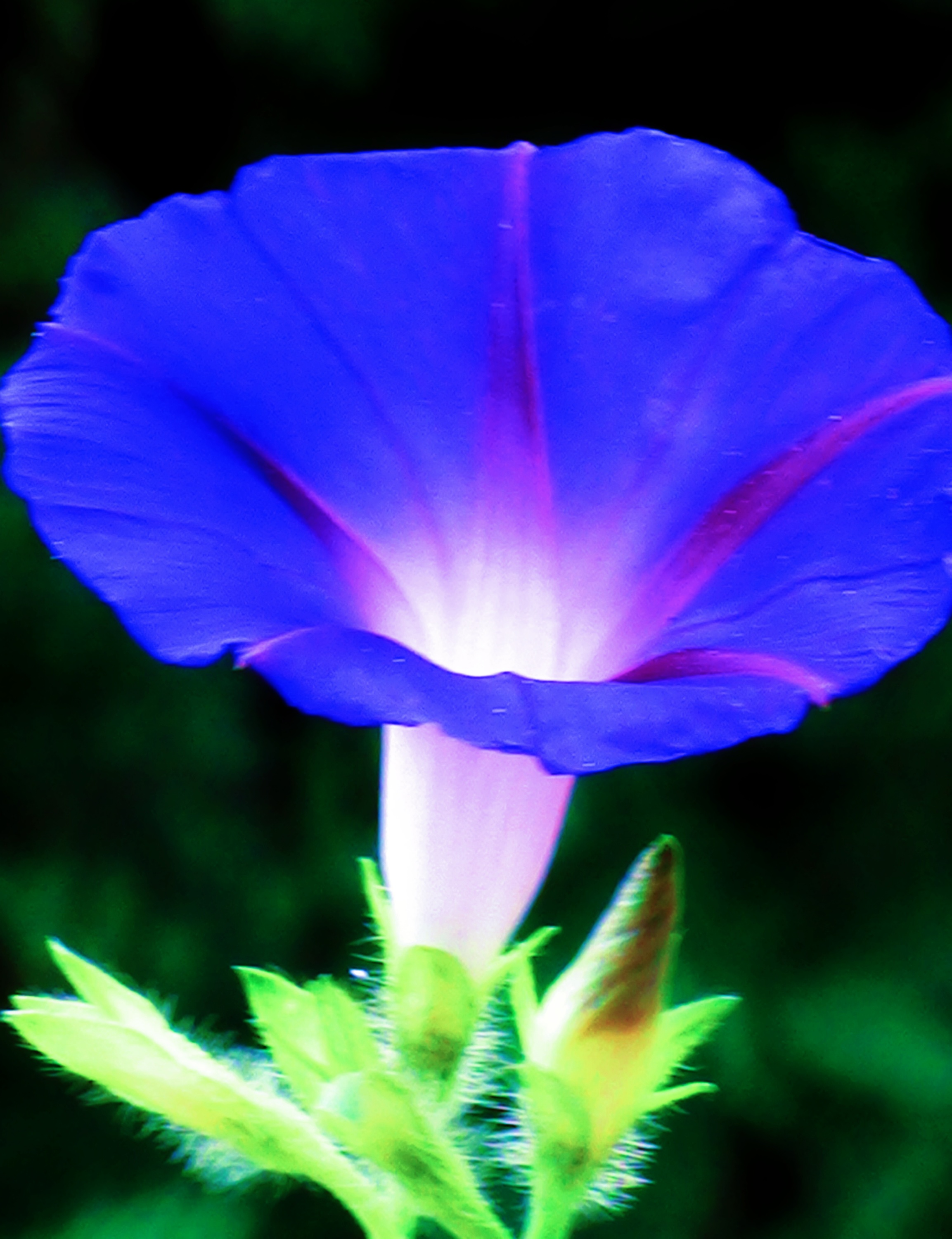 DSC05026.JPG