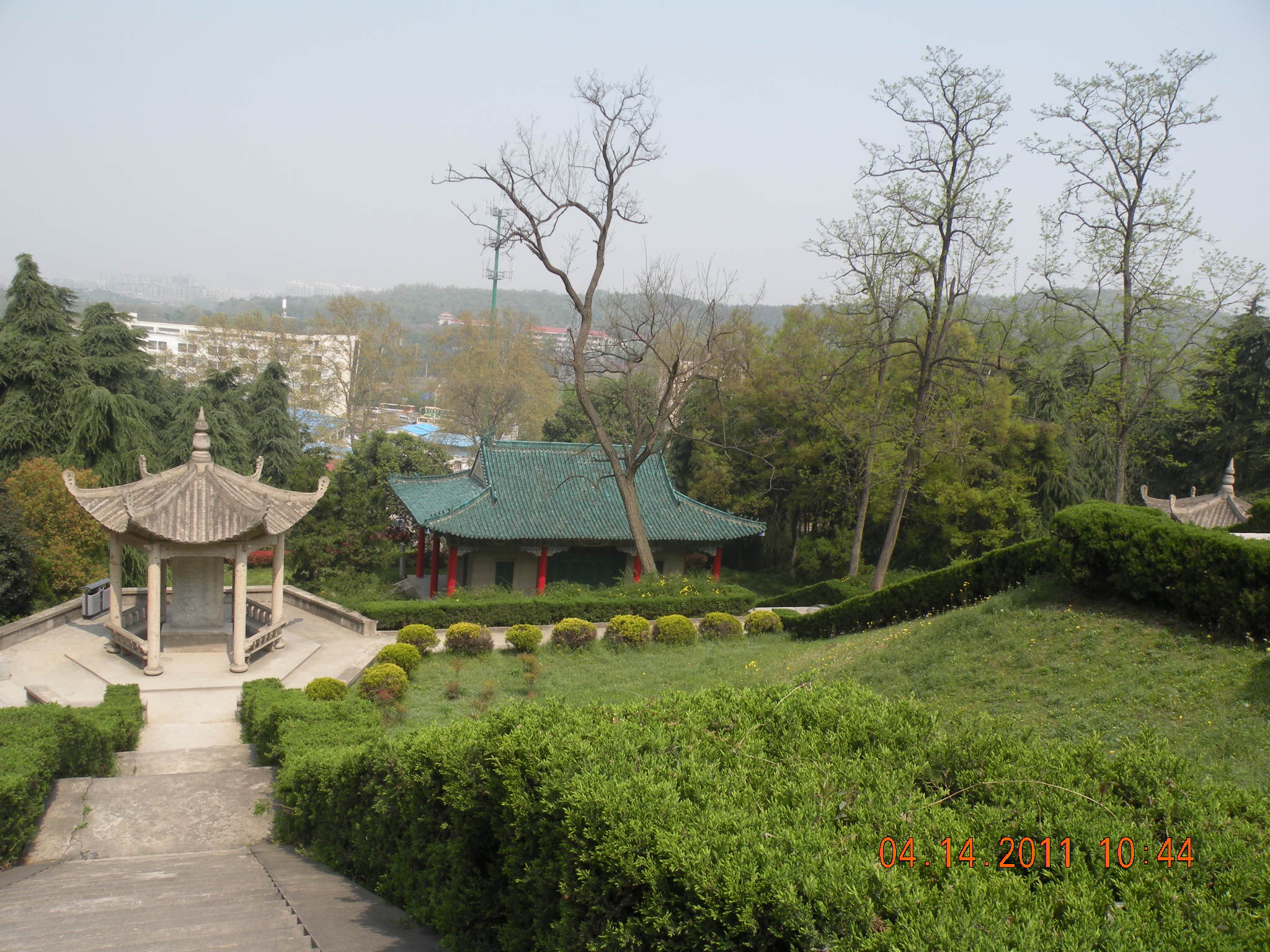 203.JPG