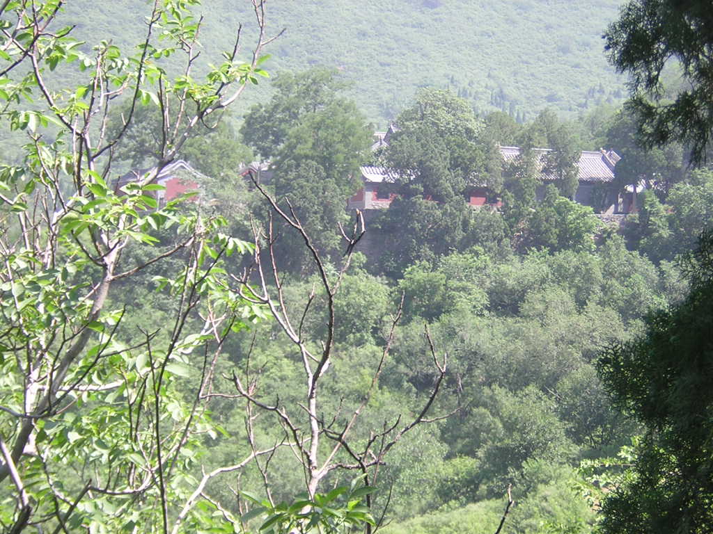 DSCN1975.JPG