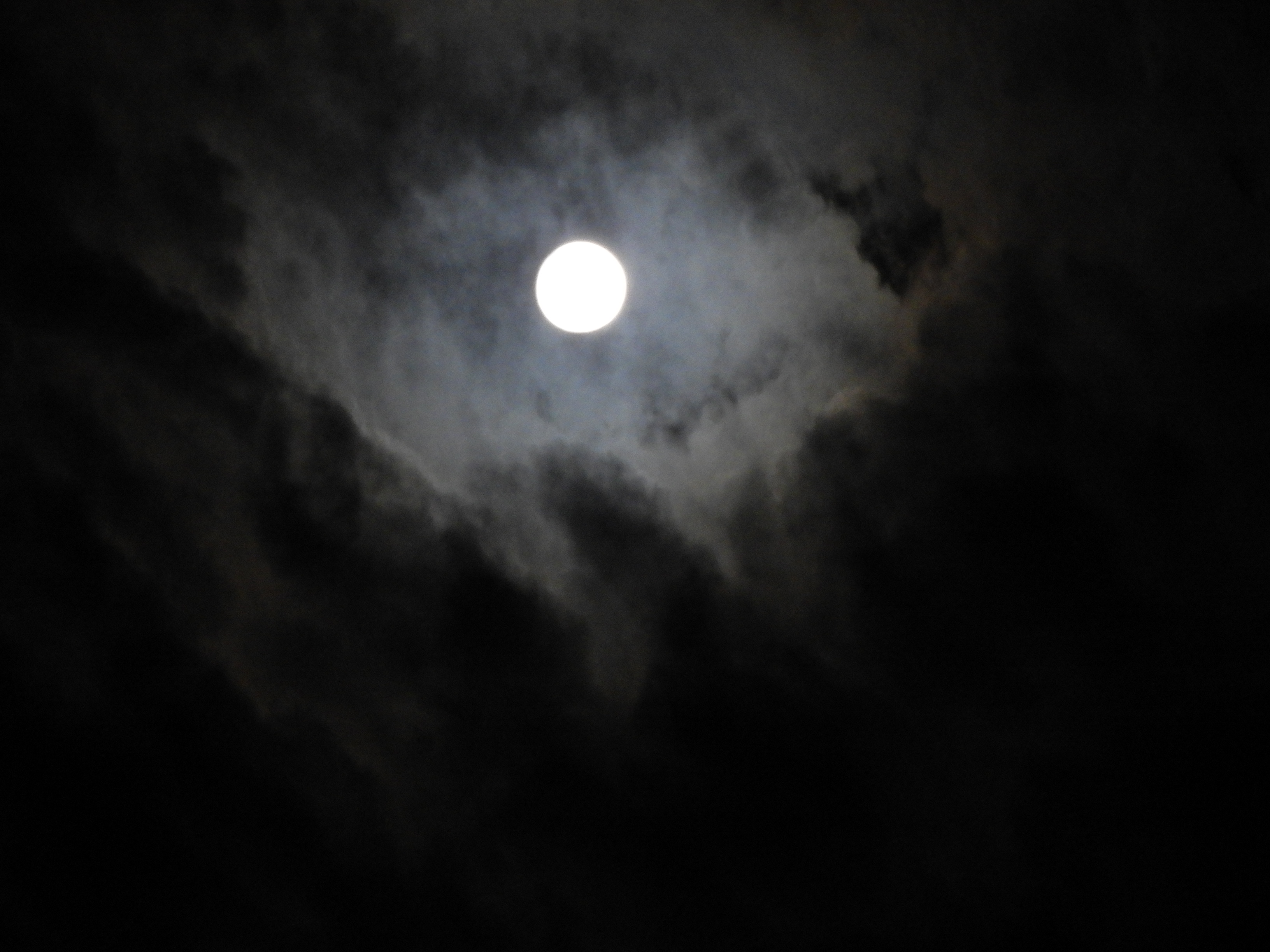 DSCN0976.JPG