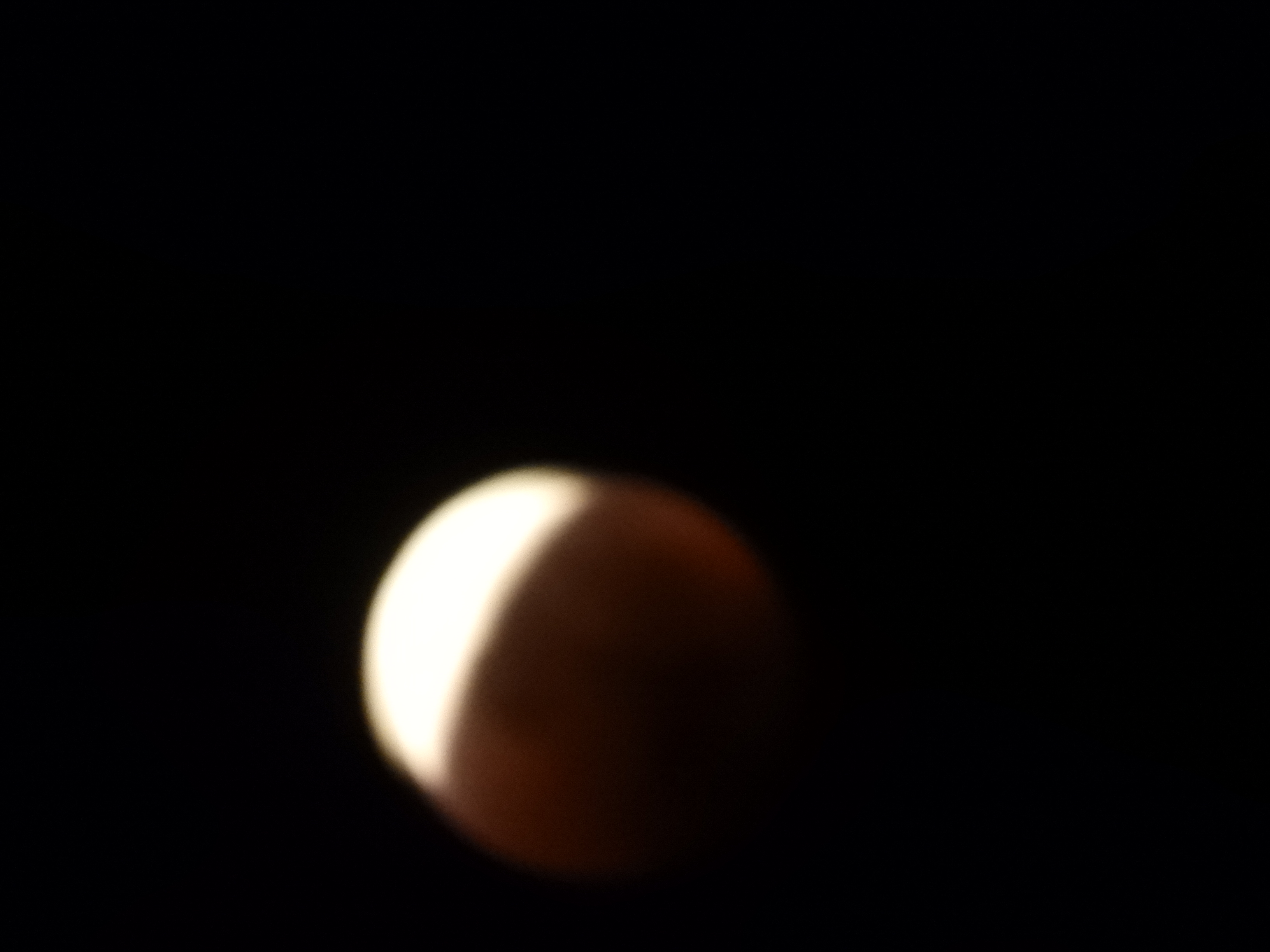 DSCN0993.JPG
