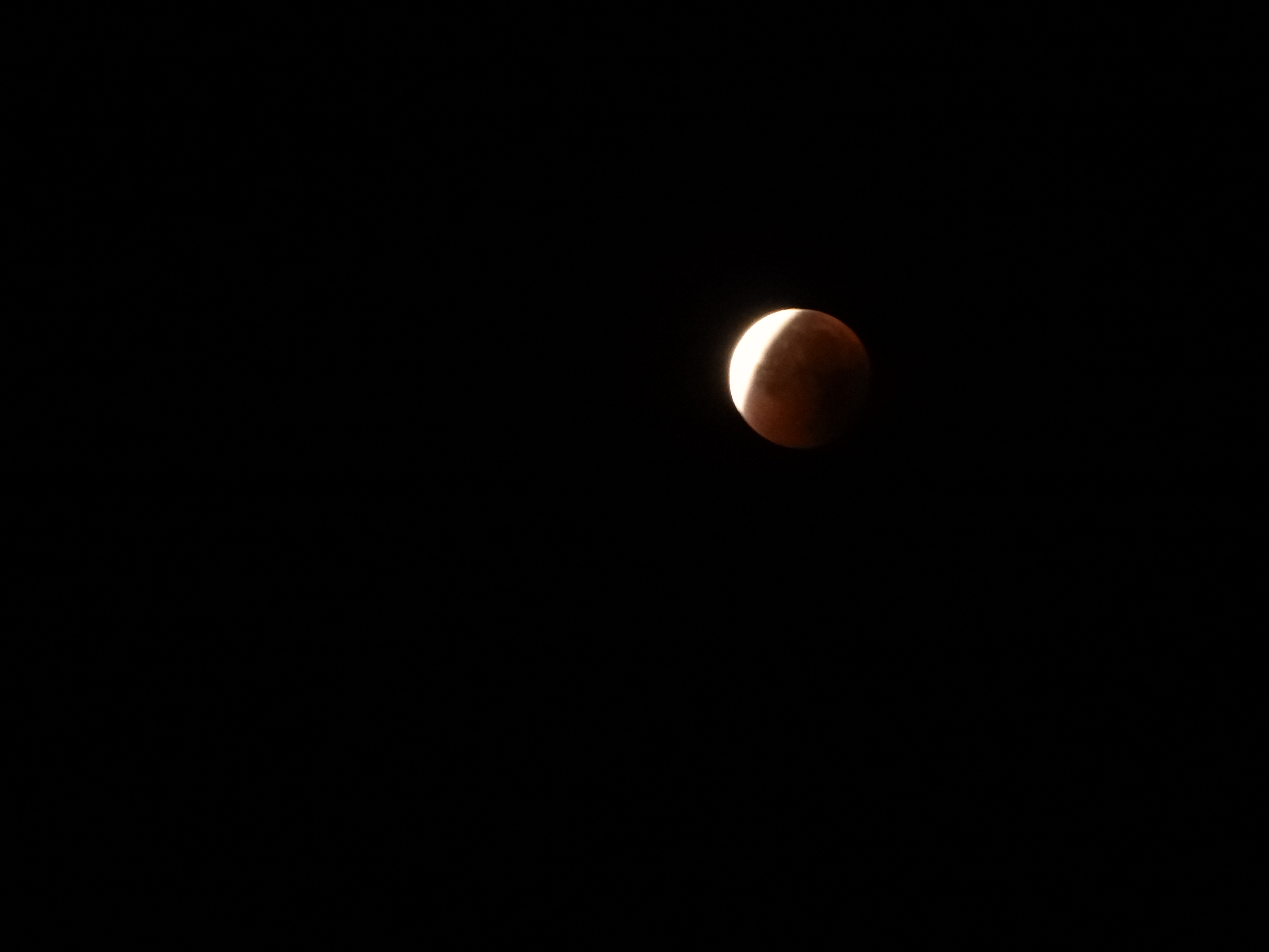 DSCN0995.JPG