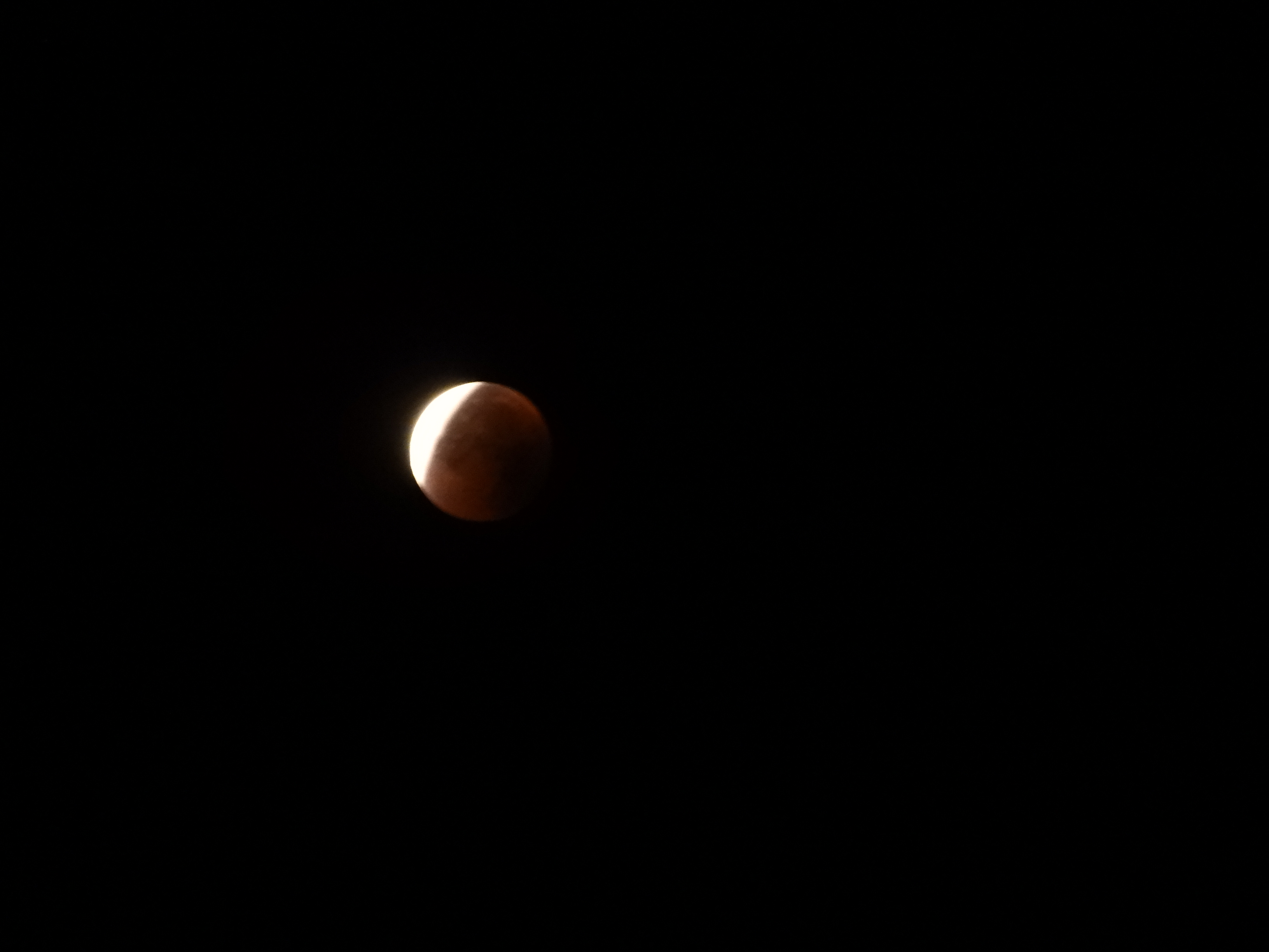 DSCN0997.JPG