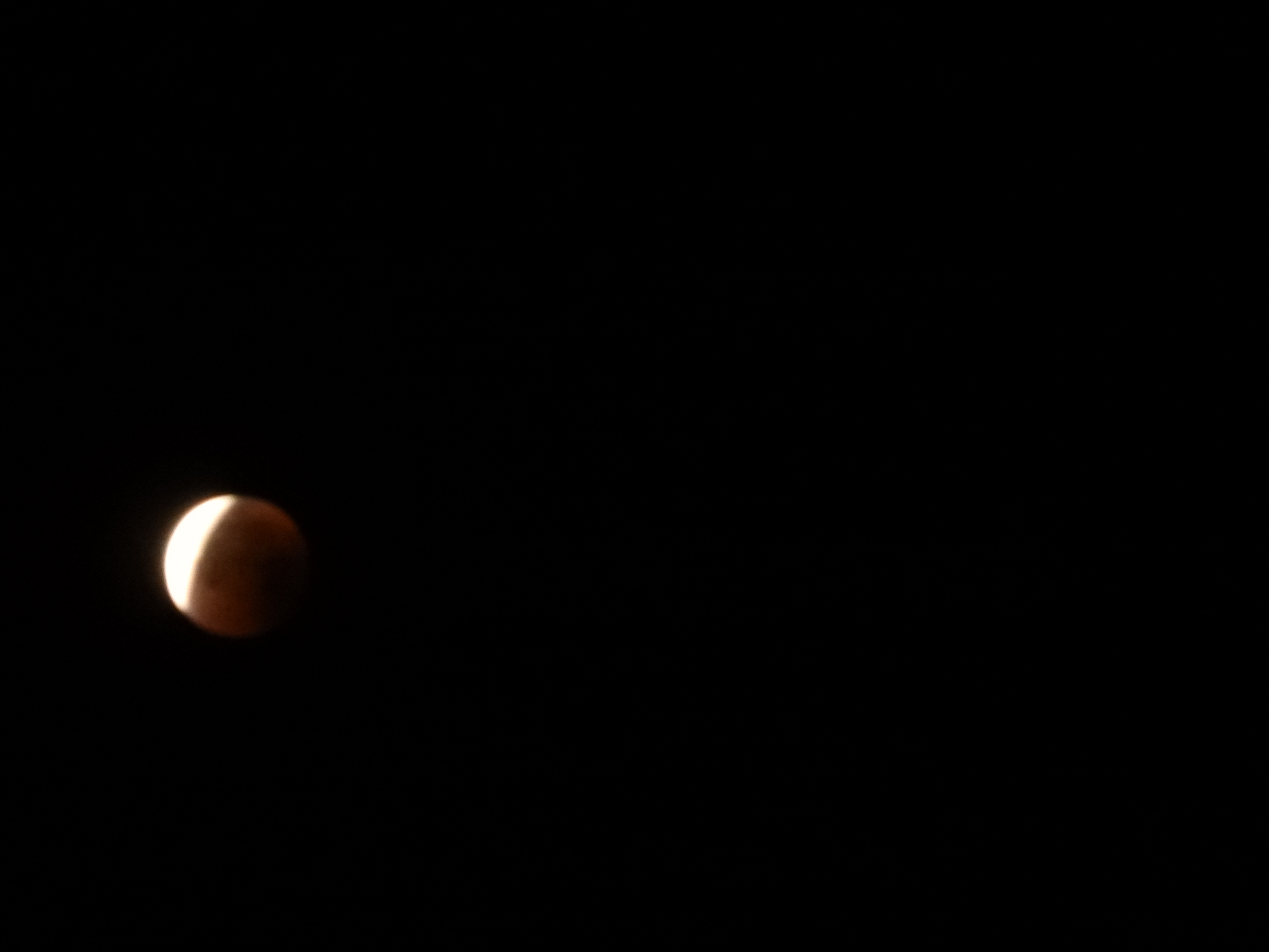 DSCN1004.JPG