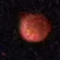 ΢ͼƬ_20250908065018_87_3.jpg
