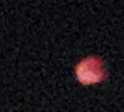 ΢ͼƬ_20250908065026_92_3.jpg