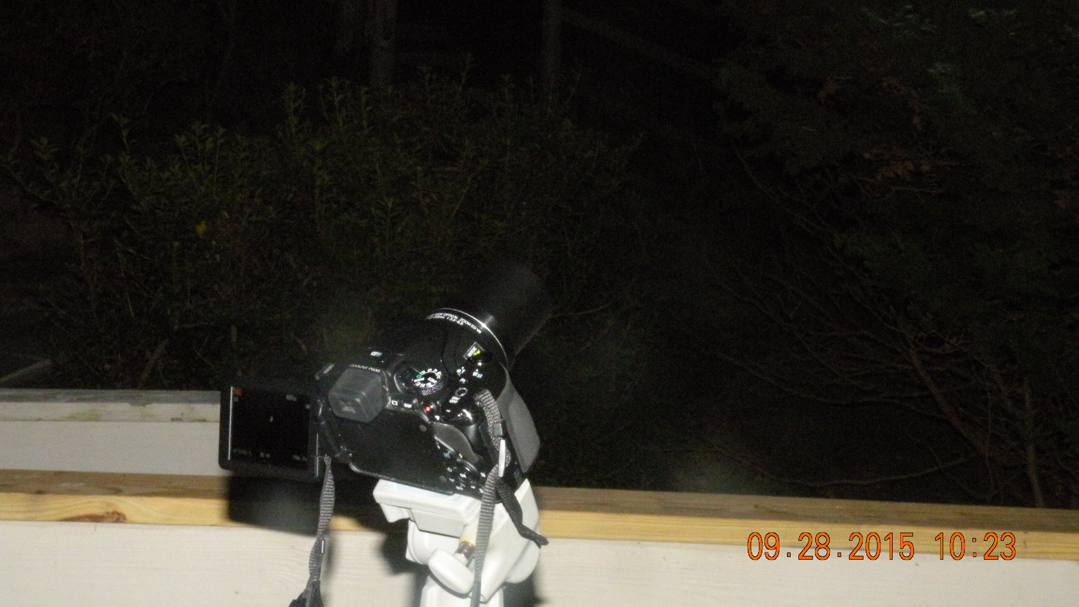 DSCN7449.JPG