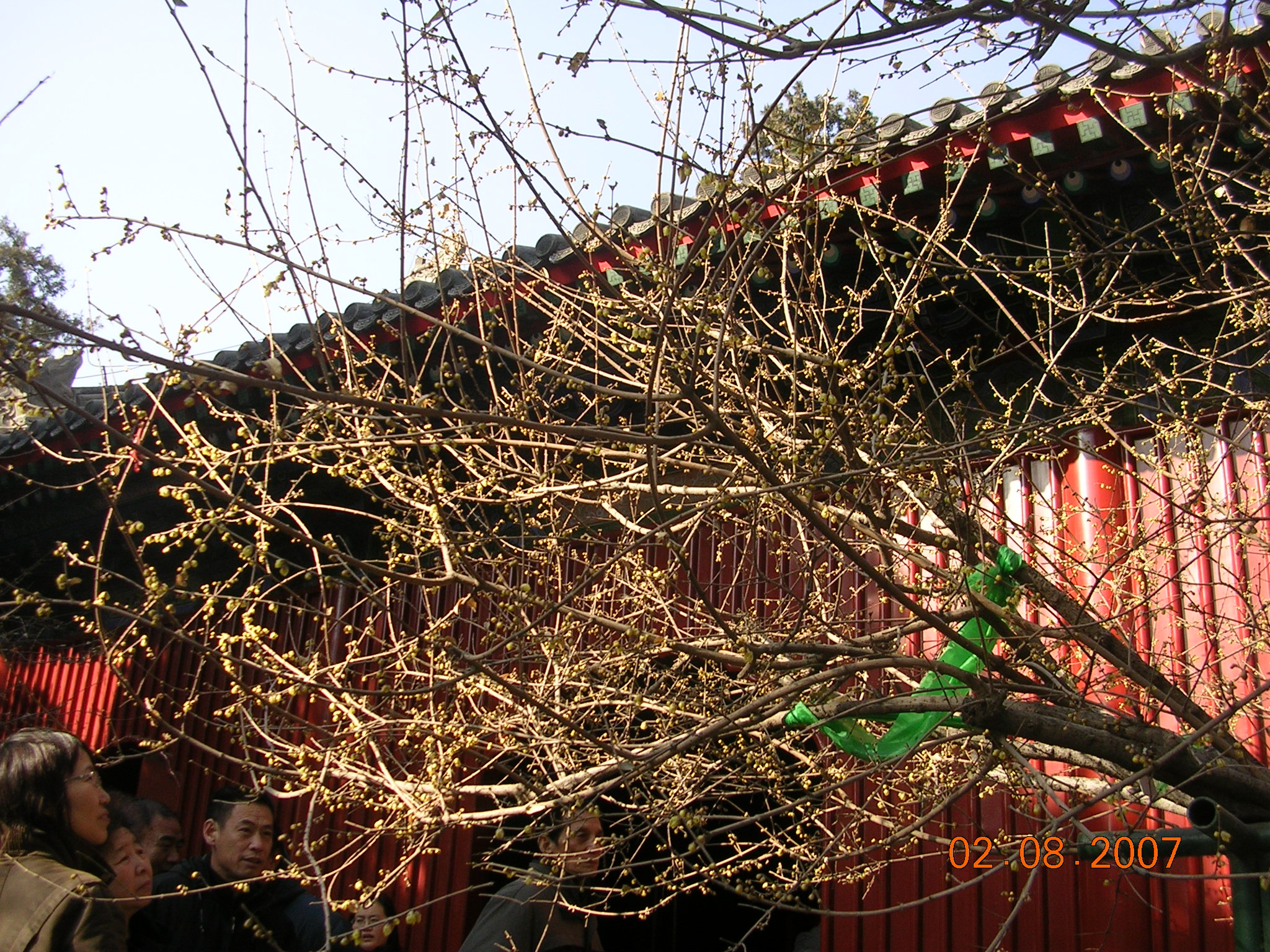 2007-2-09A 095.jpg