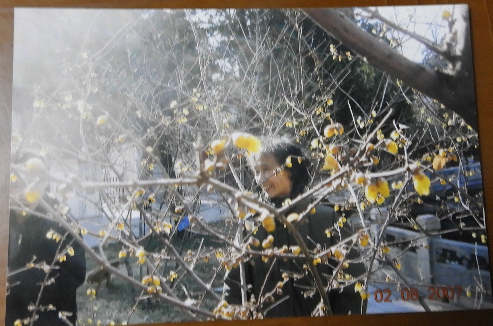 DSCN0969.JPG