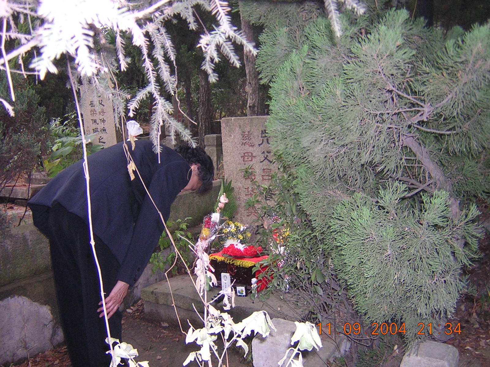 DSCN1767.JPG