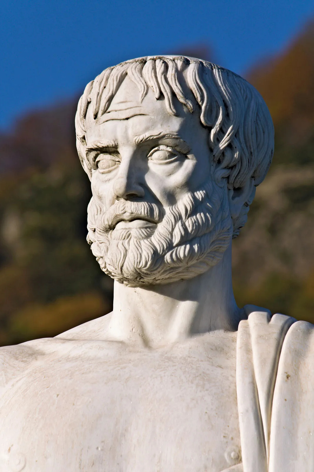 Aristotle-Stagira-Greece.jpg