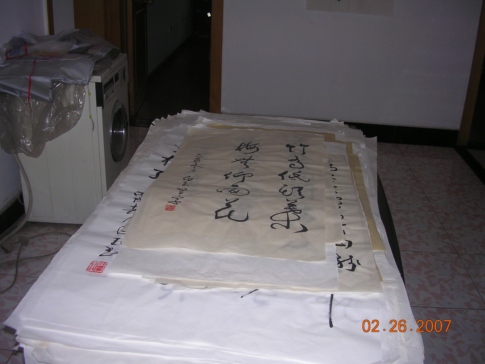 2007-2-27A 016.jpg
