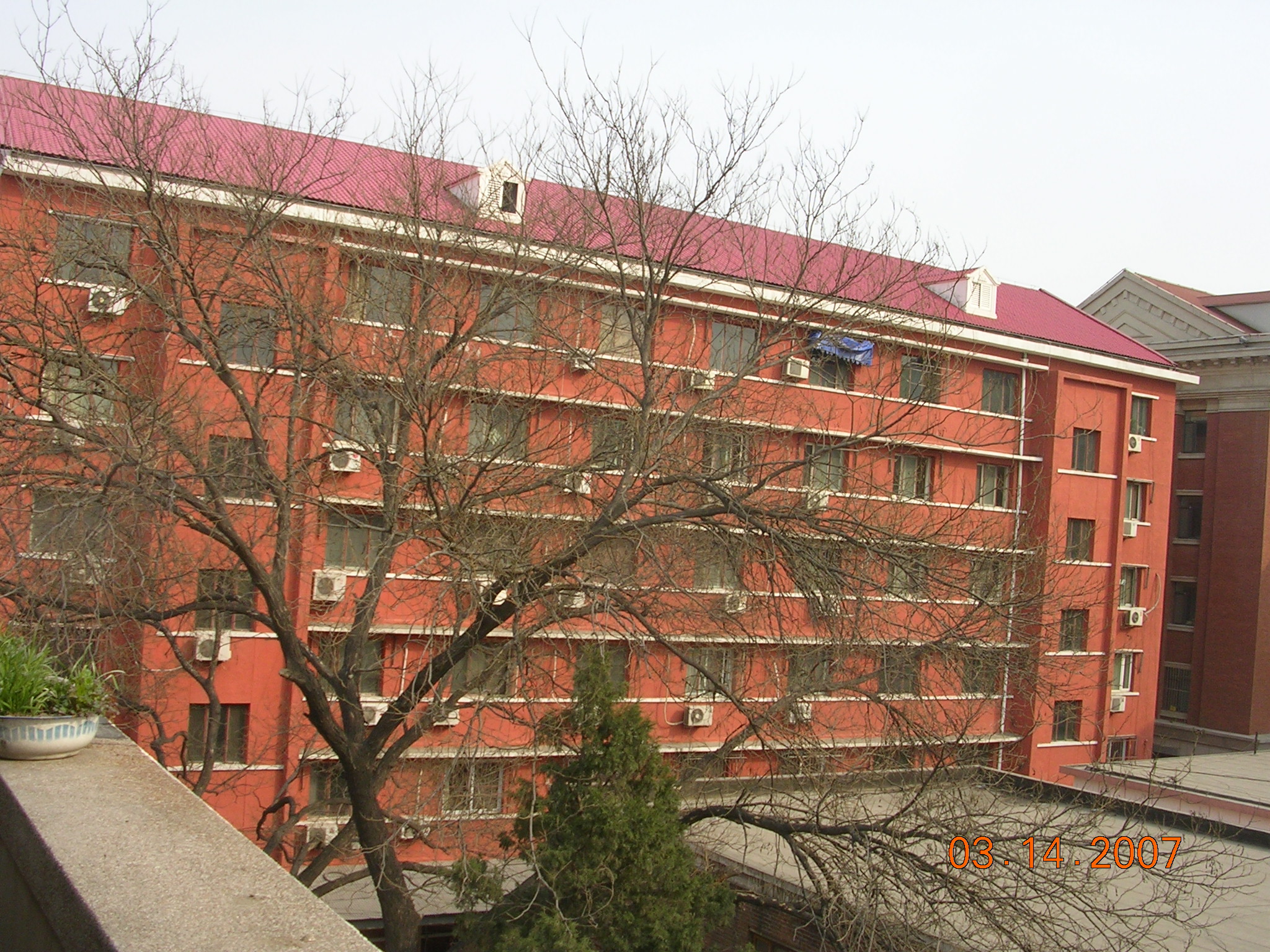 5 011.jpg