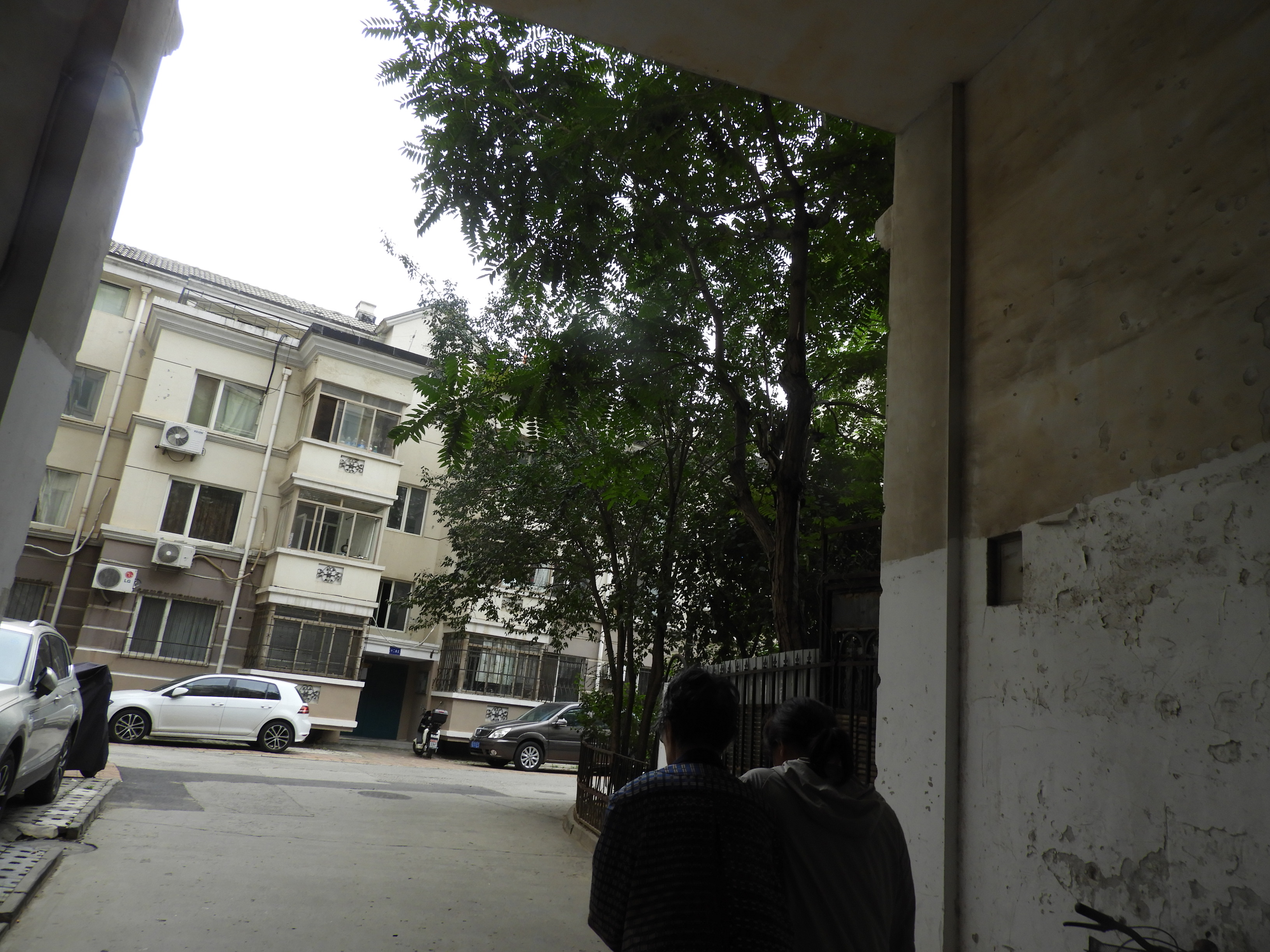 DSCN1251.JPG