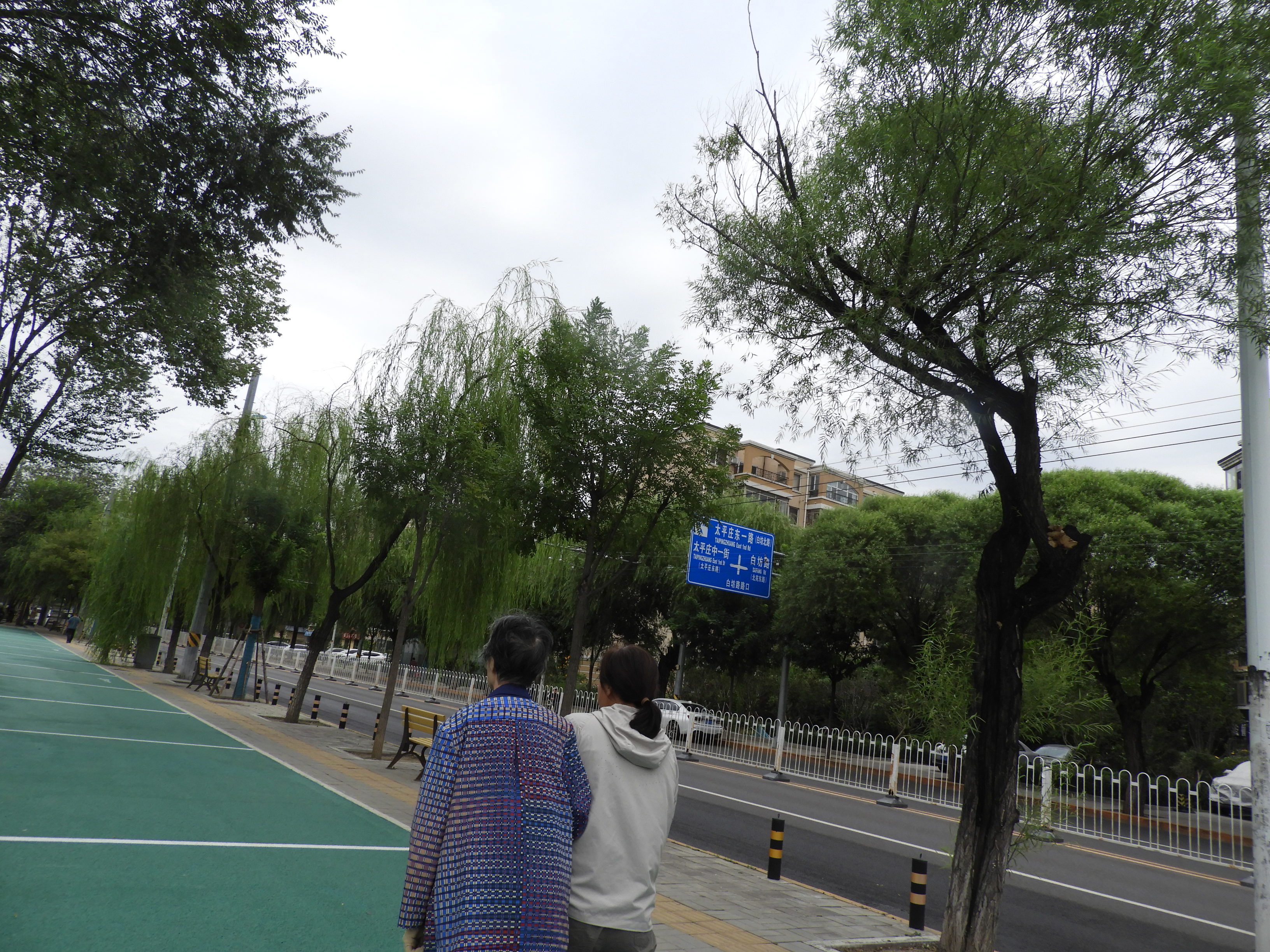 DSCN1245.JPG