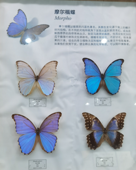 ʡ֮ͺ걾37.jpg
