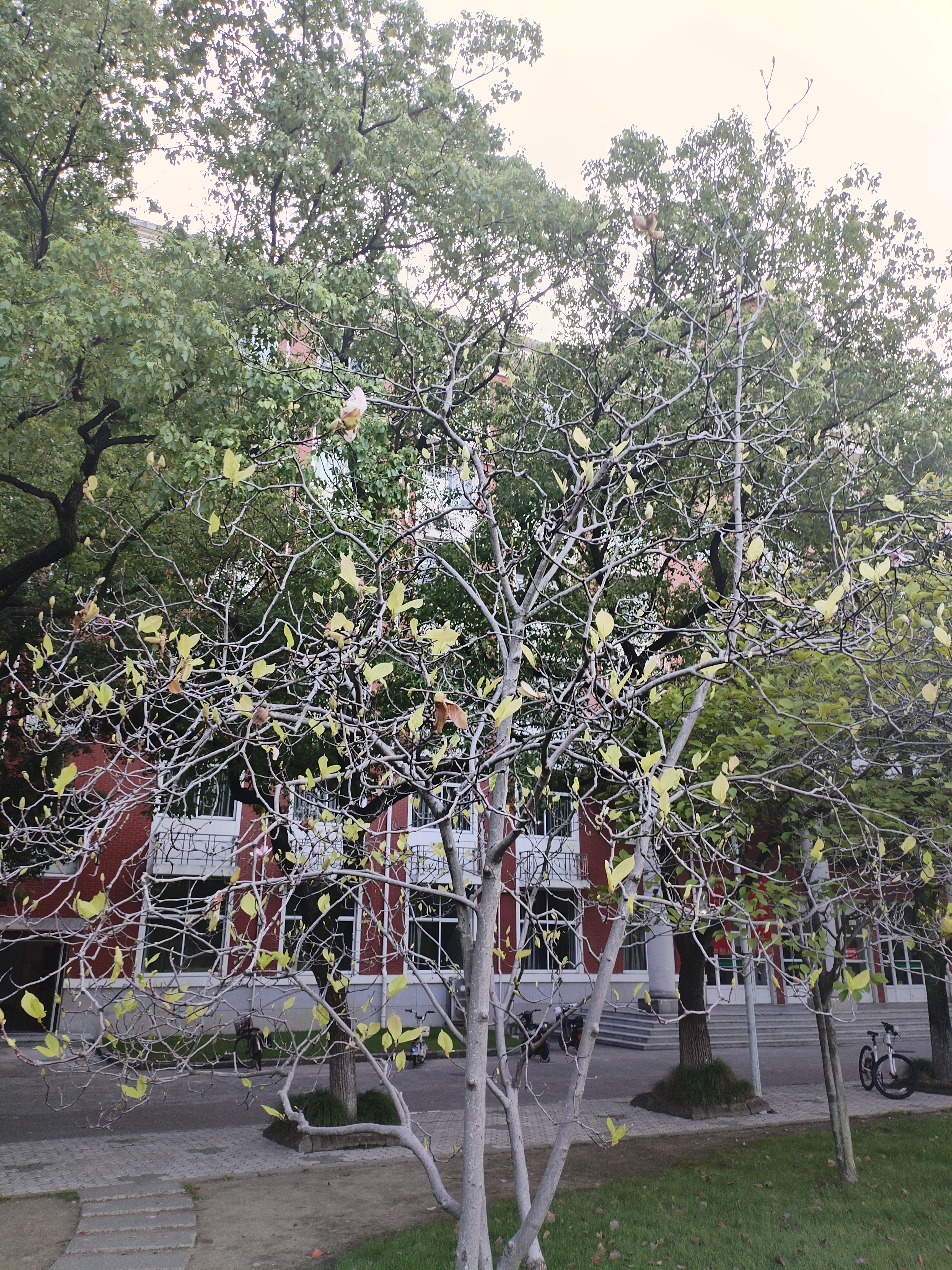 03.jpg