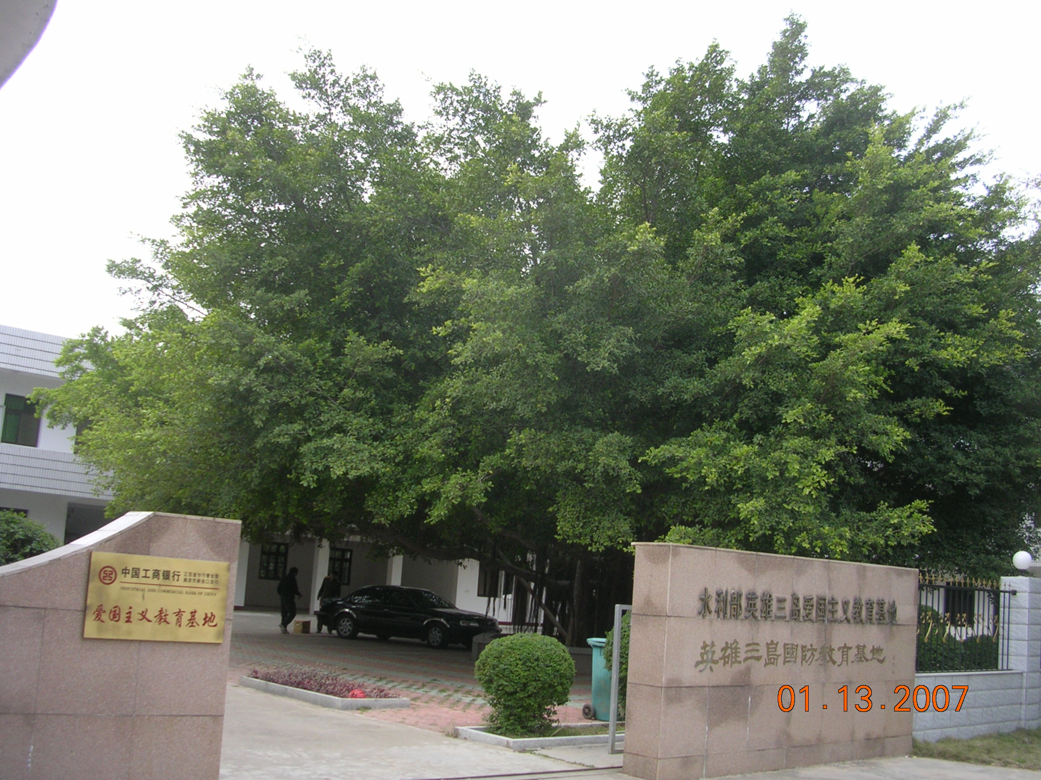 2007-1-14A 084.jpg