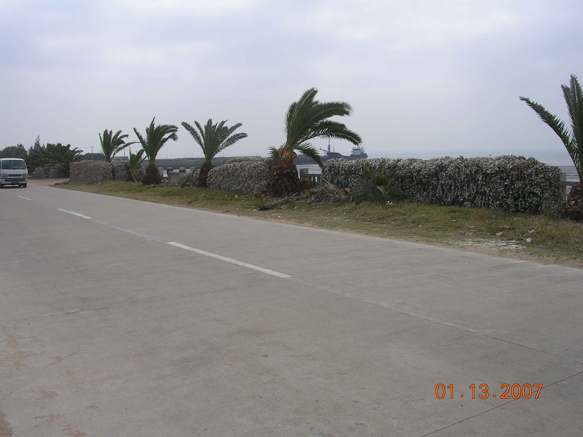 2007-1-14A 076.jpg