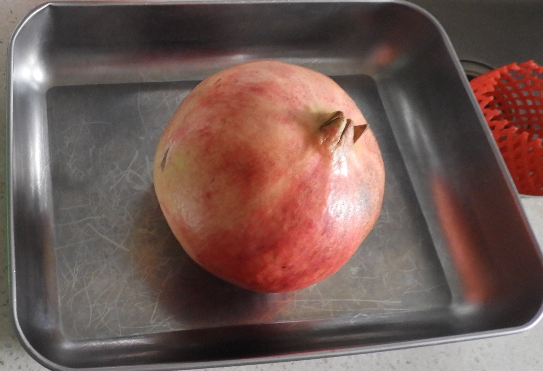 DSCN1345.JPG