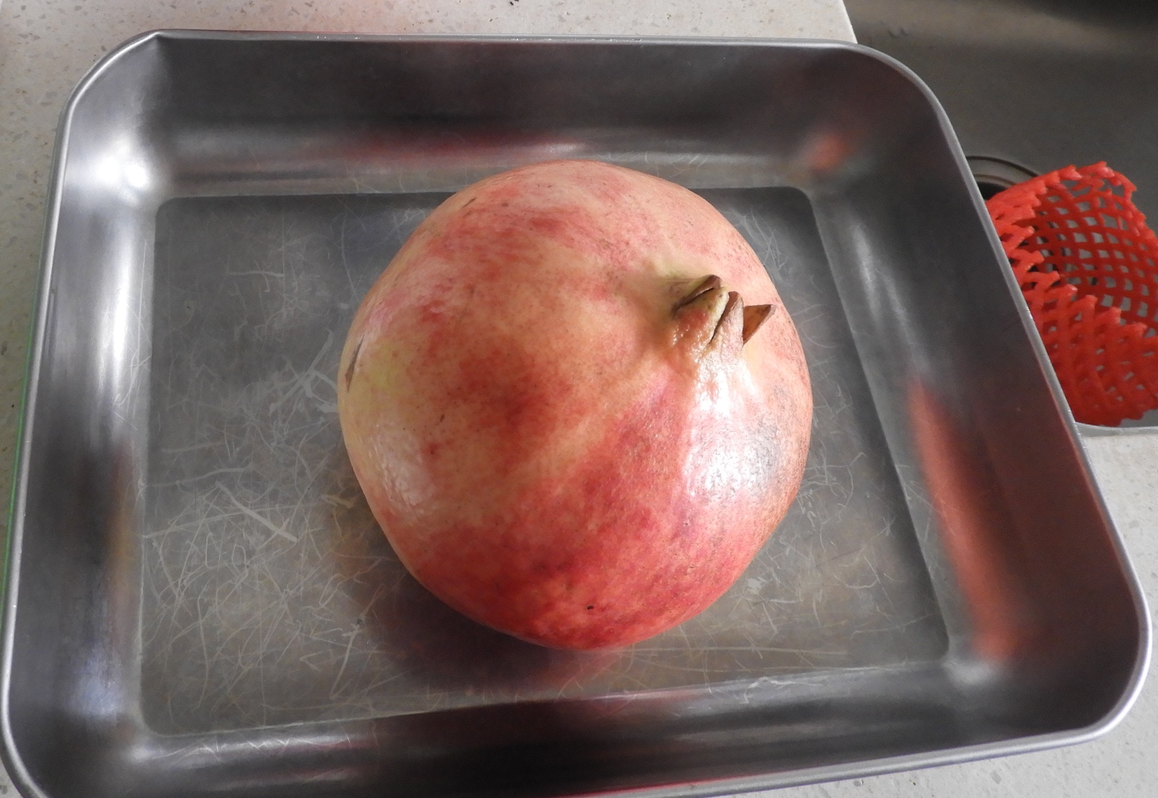DSCN1346.JPG