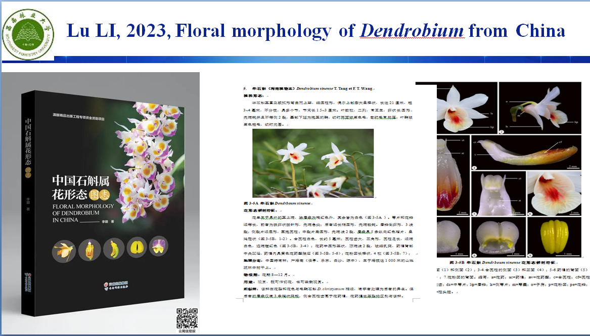5d39ba0d-86b1-40cb-b209-b2993fd3d5c2.png