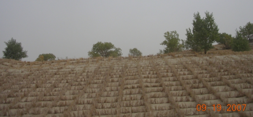 BolgJJ07-09-30Cv.jpg