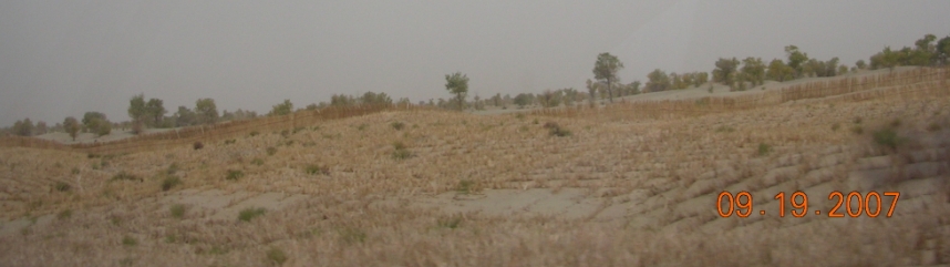 BolgJJ07-09-30Ct.jpg