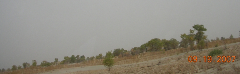 BolgJJ07-09-30Cs.jpg