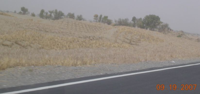 BolgJJ07-09-30Cq.jpg