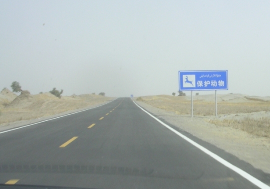 BolgJJ07-09-30Ci.jpg