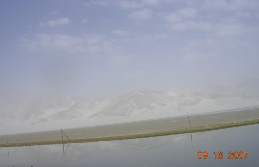 BlogTP07-10-06Bk.JPG